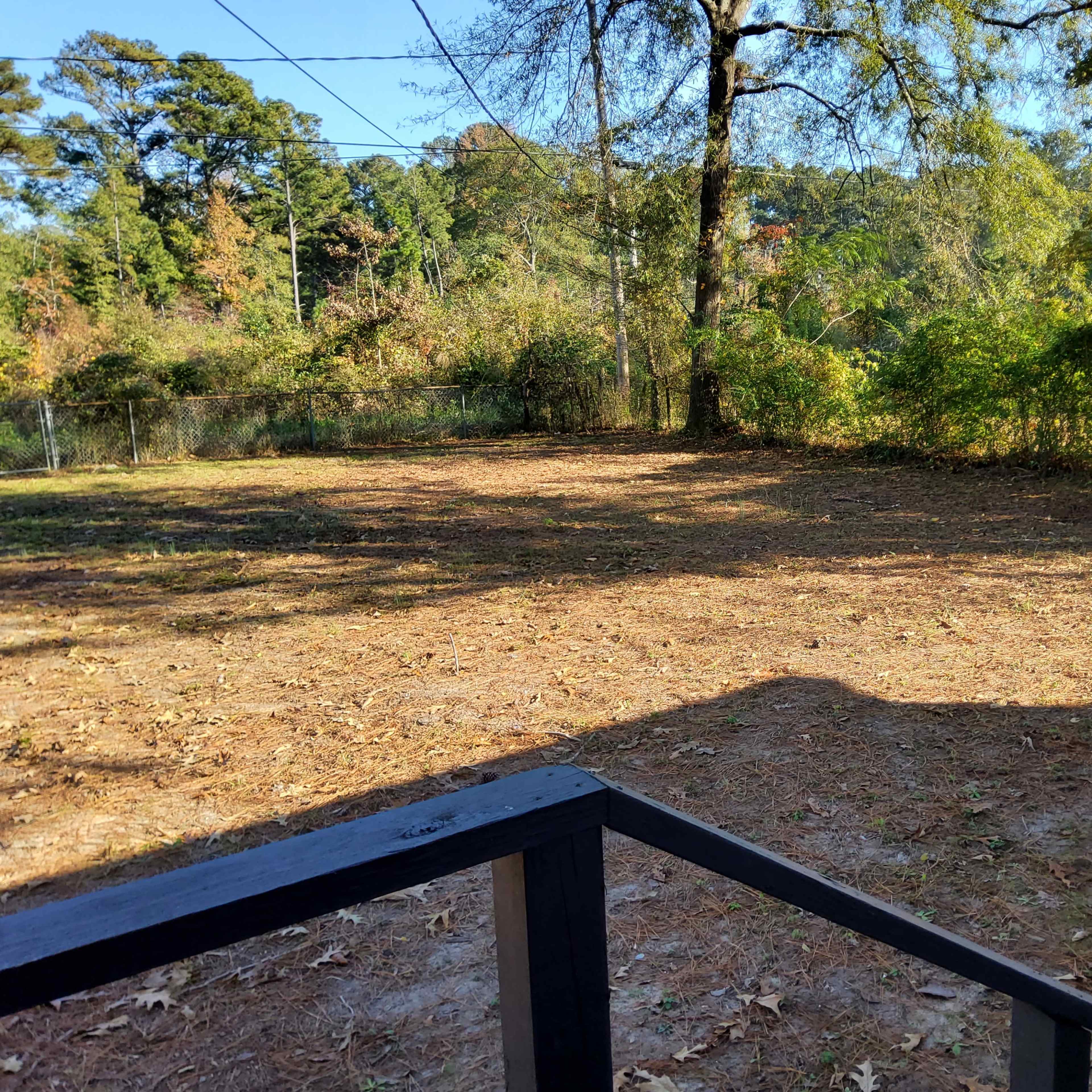 A cleared outdoor area with scattered leaves and trees in the background.