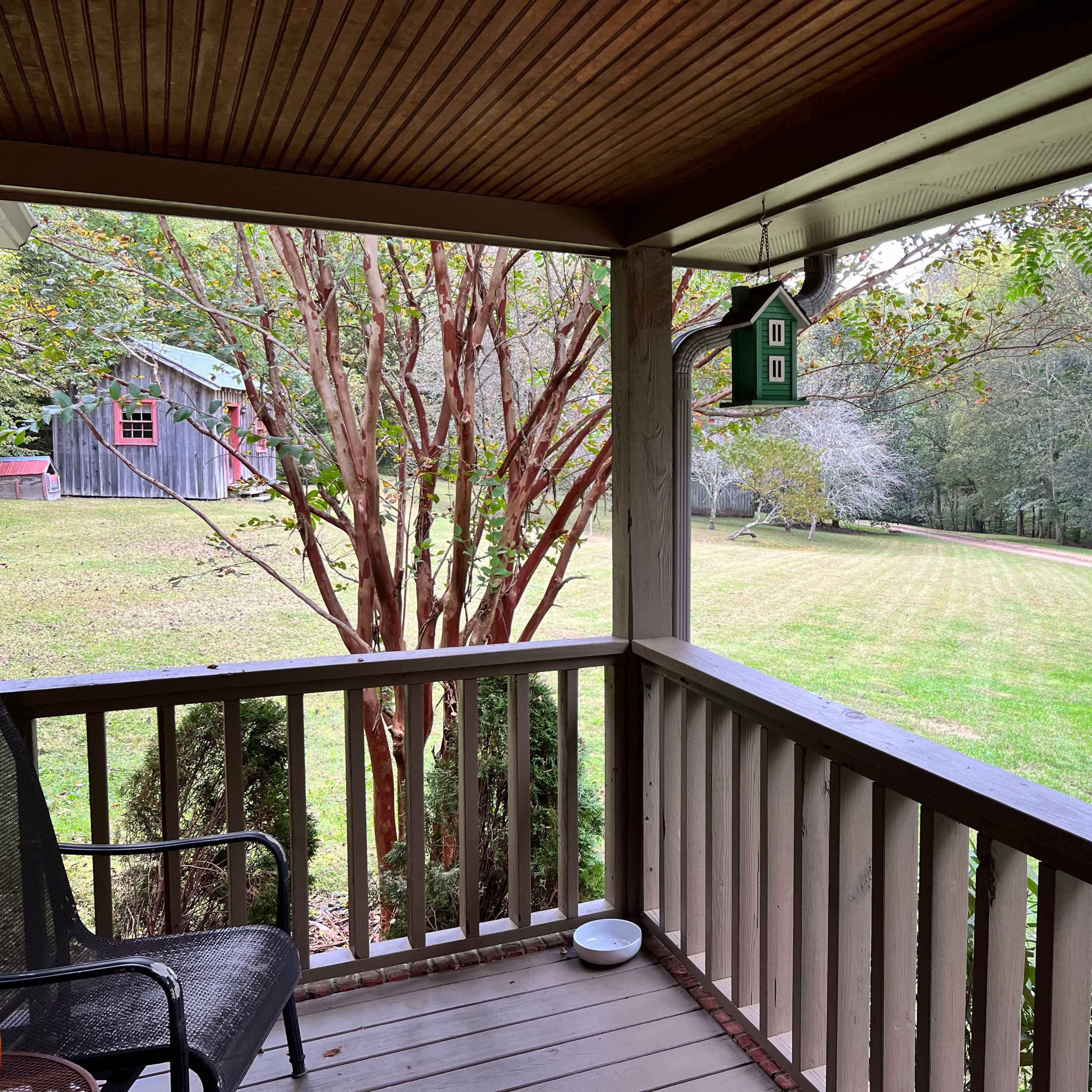 A porch with a green birdhouse overlooks a grassy yard and a gravel path leading into a wooded area.