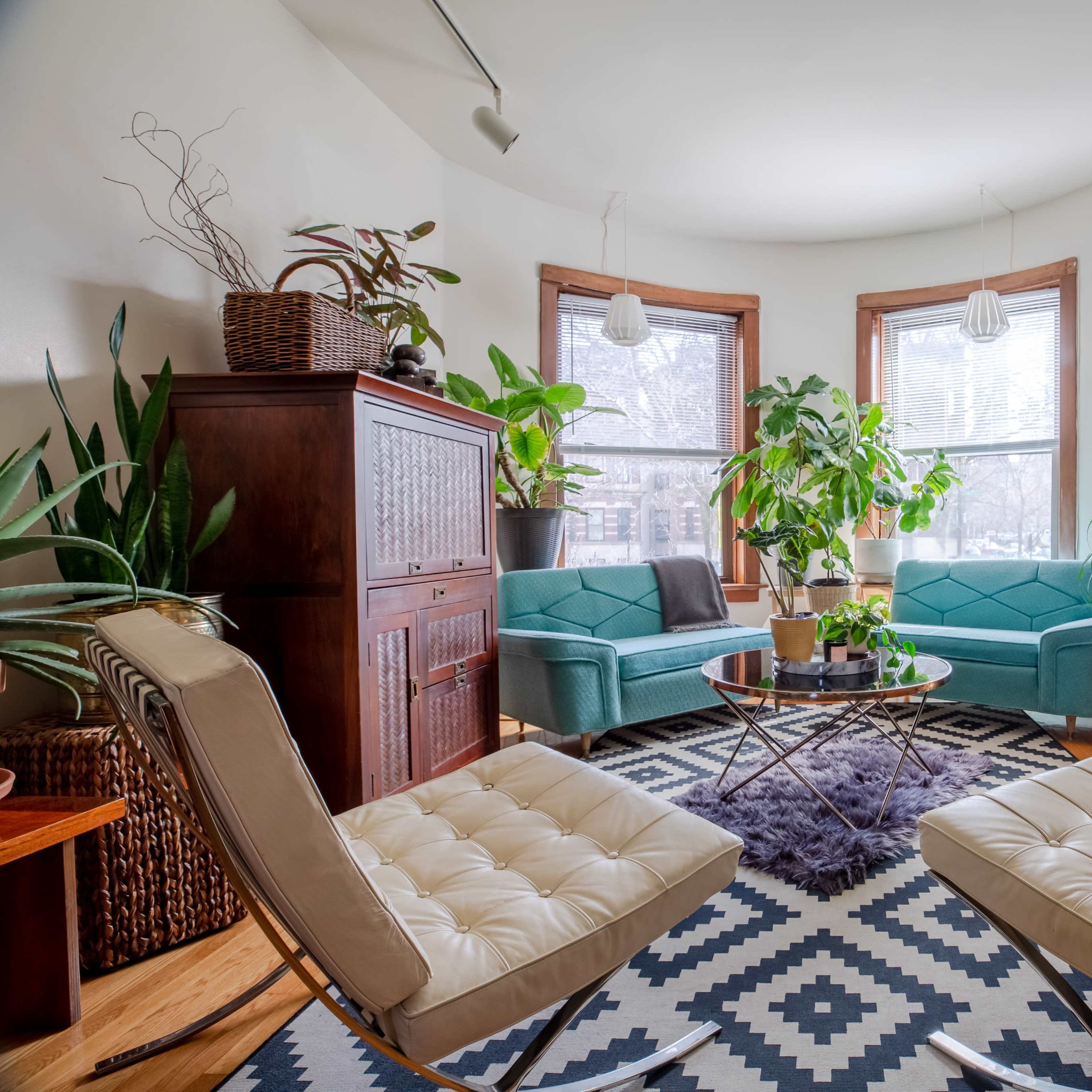 A cozy living room with teal sofas, a round coffee table, and various indoor plants in a bright, well-lit space.