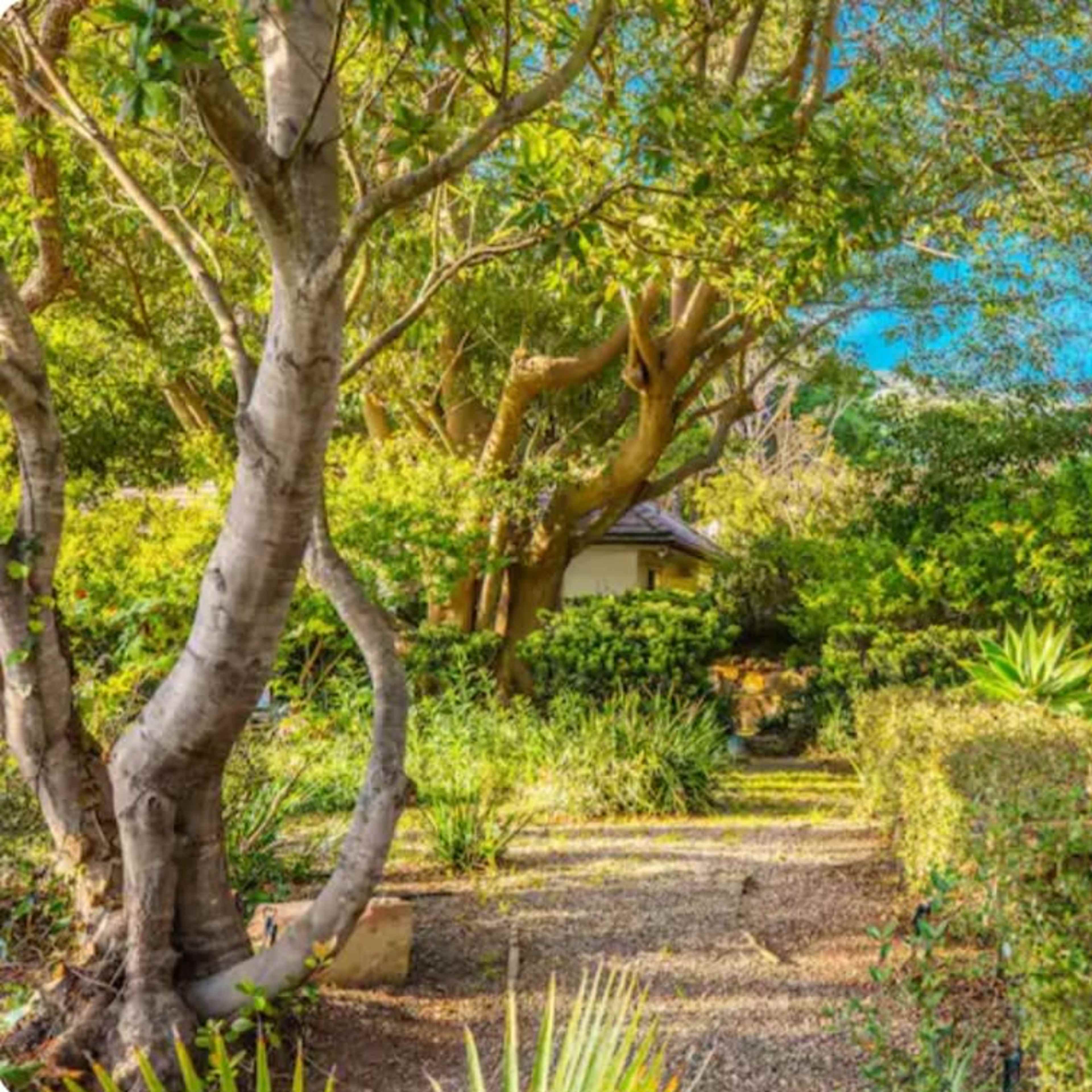 A narrow gravel path winds through a lush garden bordered by trees and shrubs.