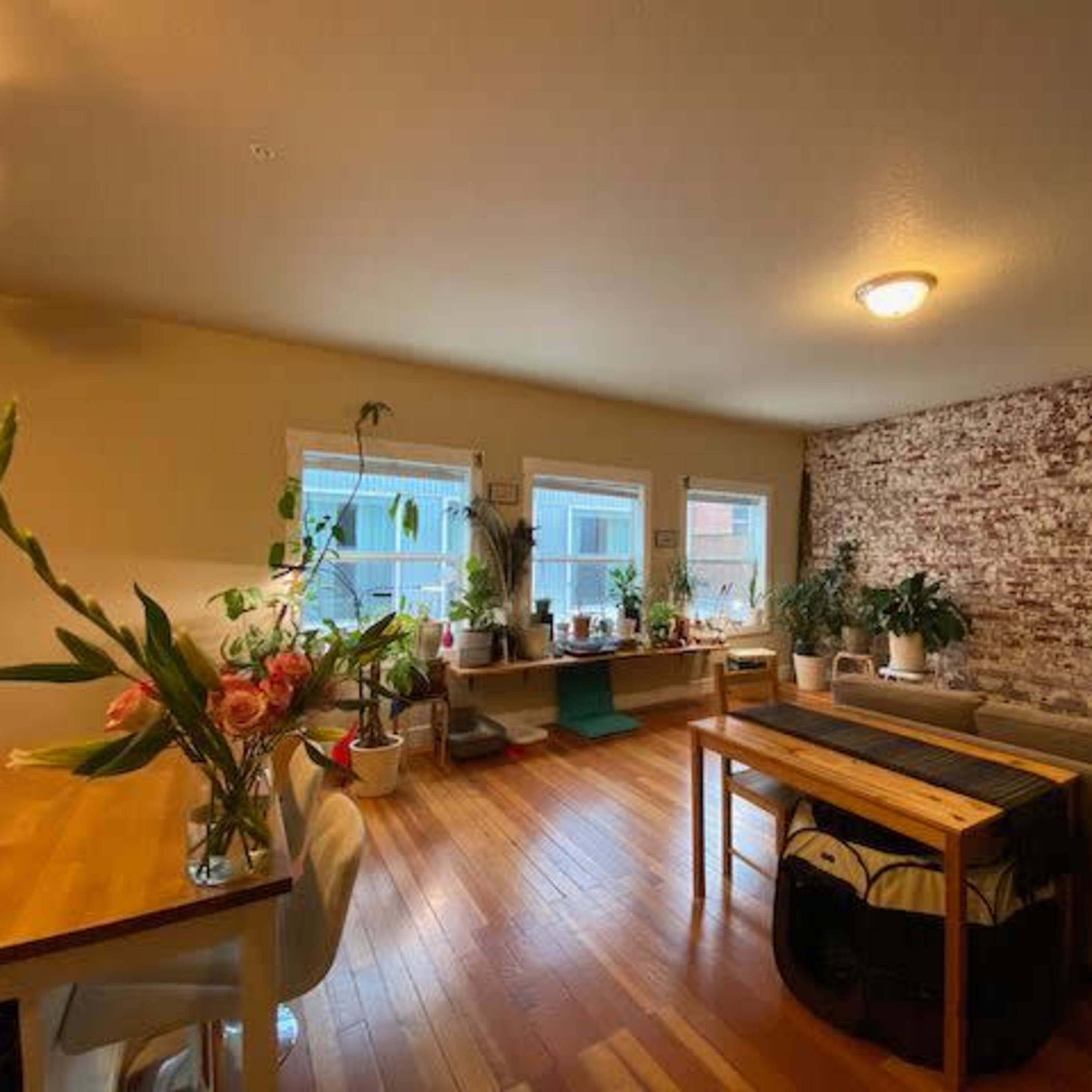 A cozy living space features wooden flooring, large windows with plants, a brick accent wall, and a dining table.