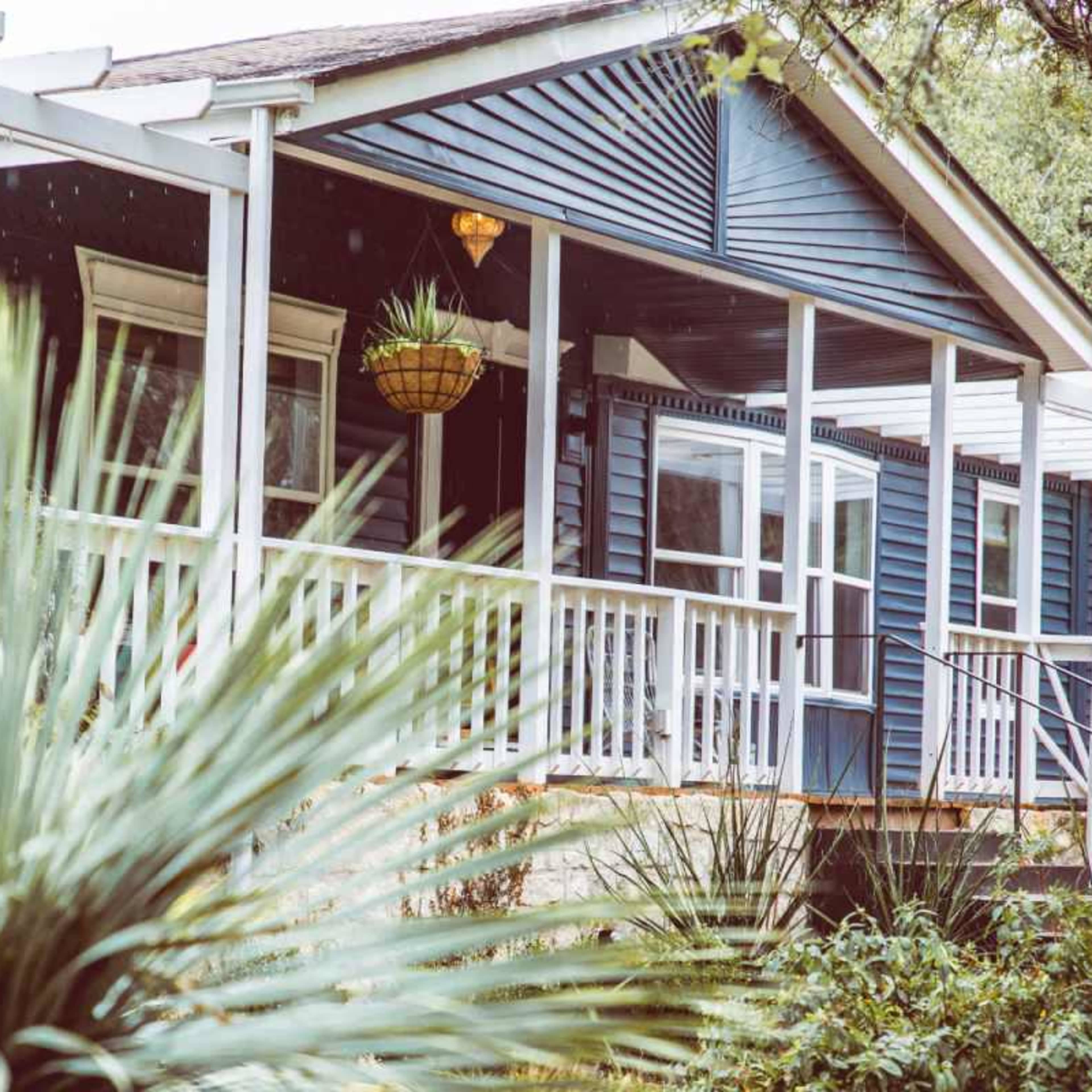 A blue house with a porch and a hanging planter is surrounded by tropical plants.