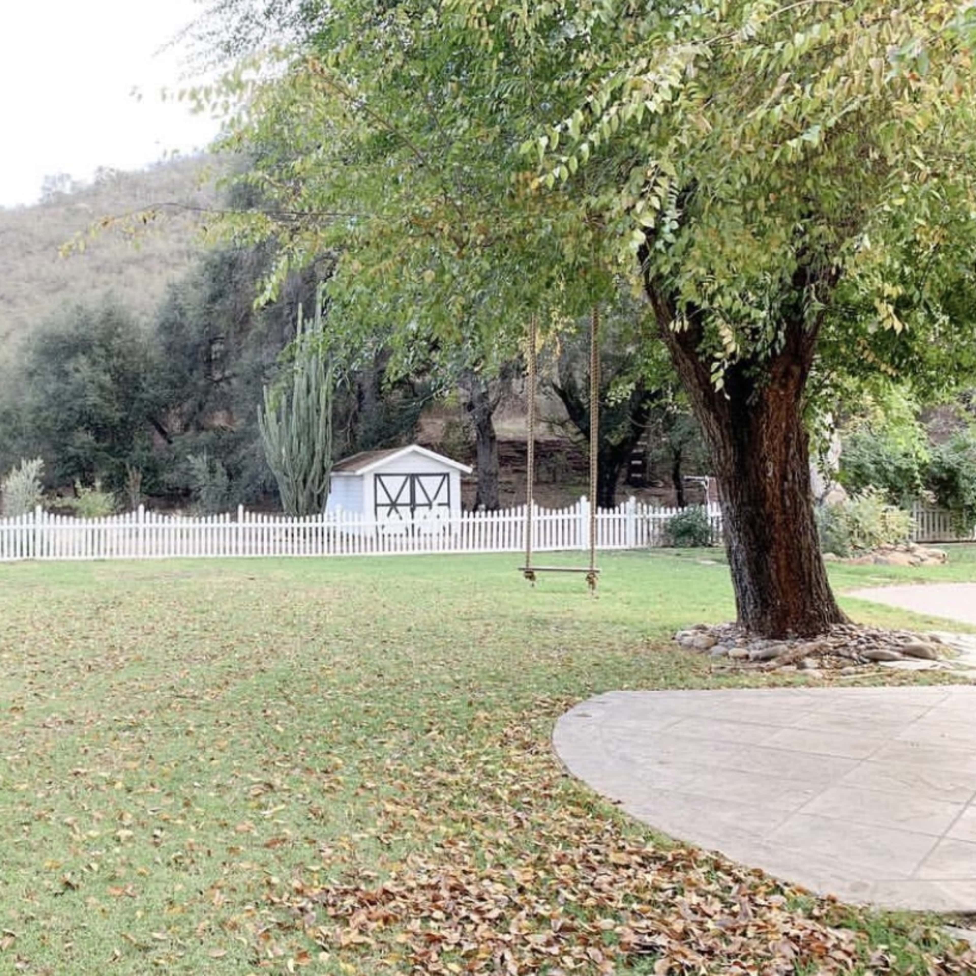A lawn with fallen leaves surrounds a white picket fence and a small shed, set against a hillside with trees.