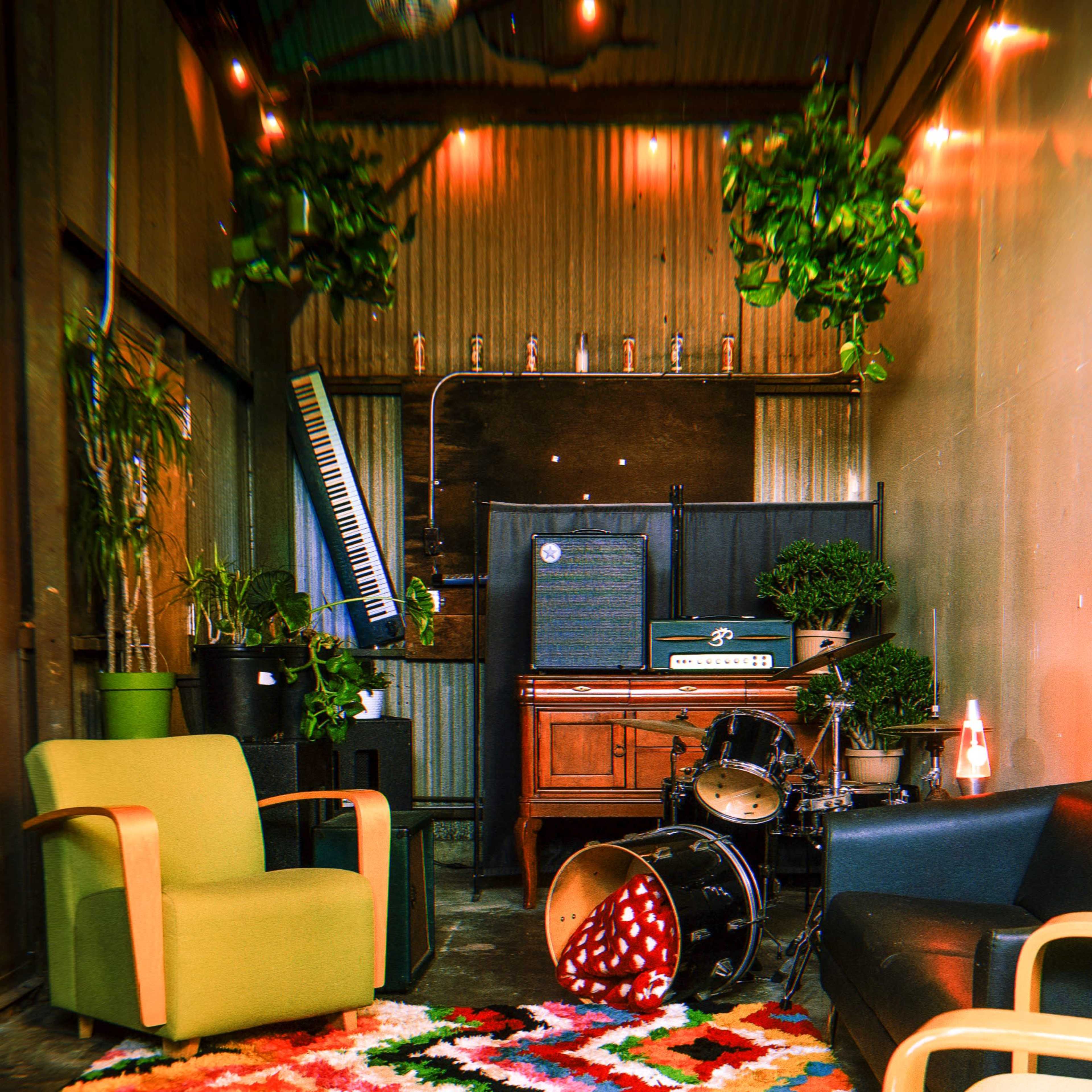A cozy corner of a room decorated with plants, a colorful rug, a black sofa, green chairs, and musical instruments.