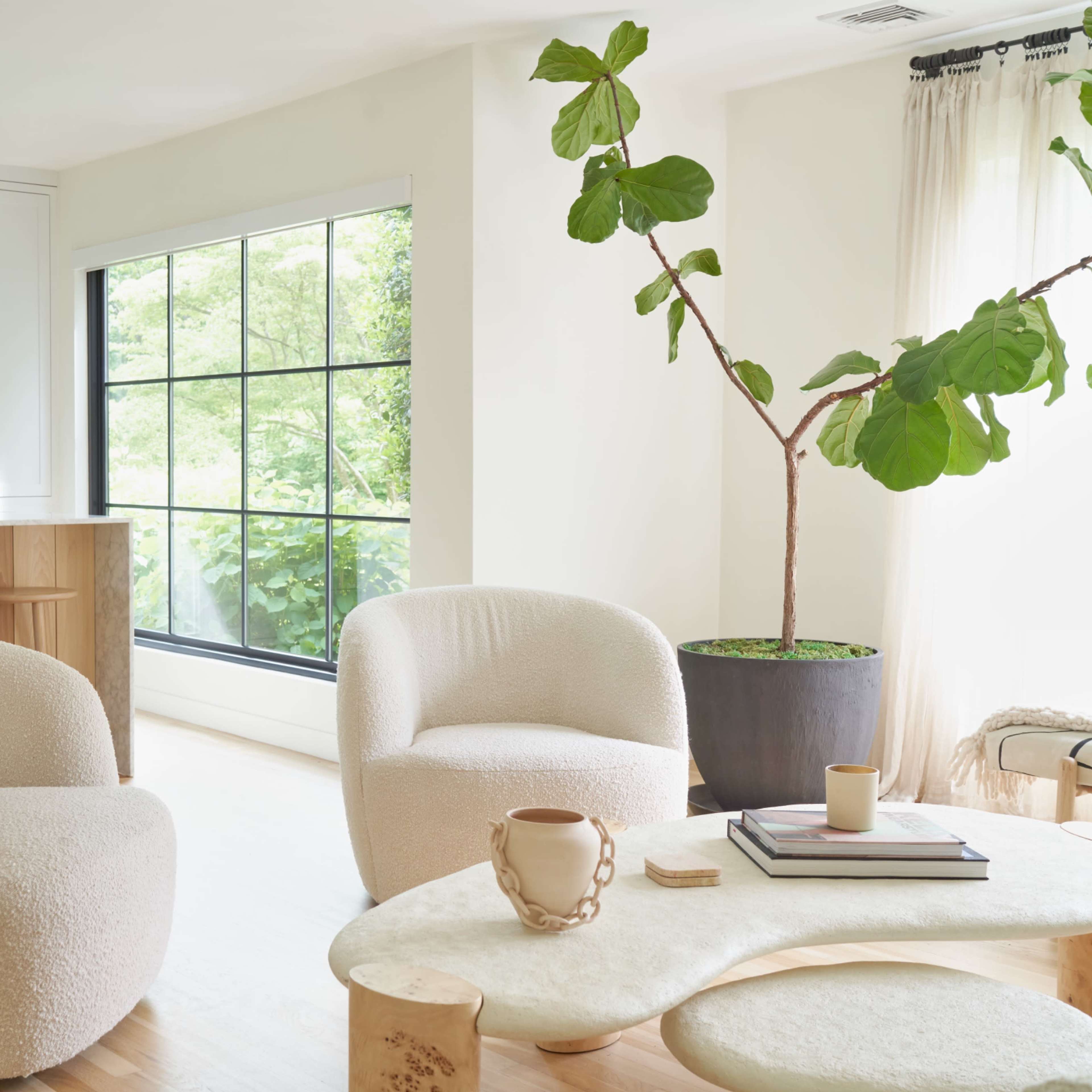 Modern European Suburban Sanctuary Image in Huntington, Huntington, NY