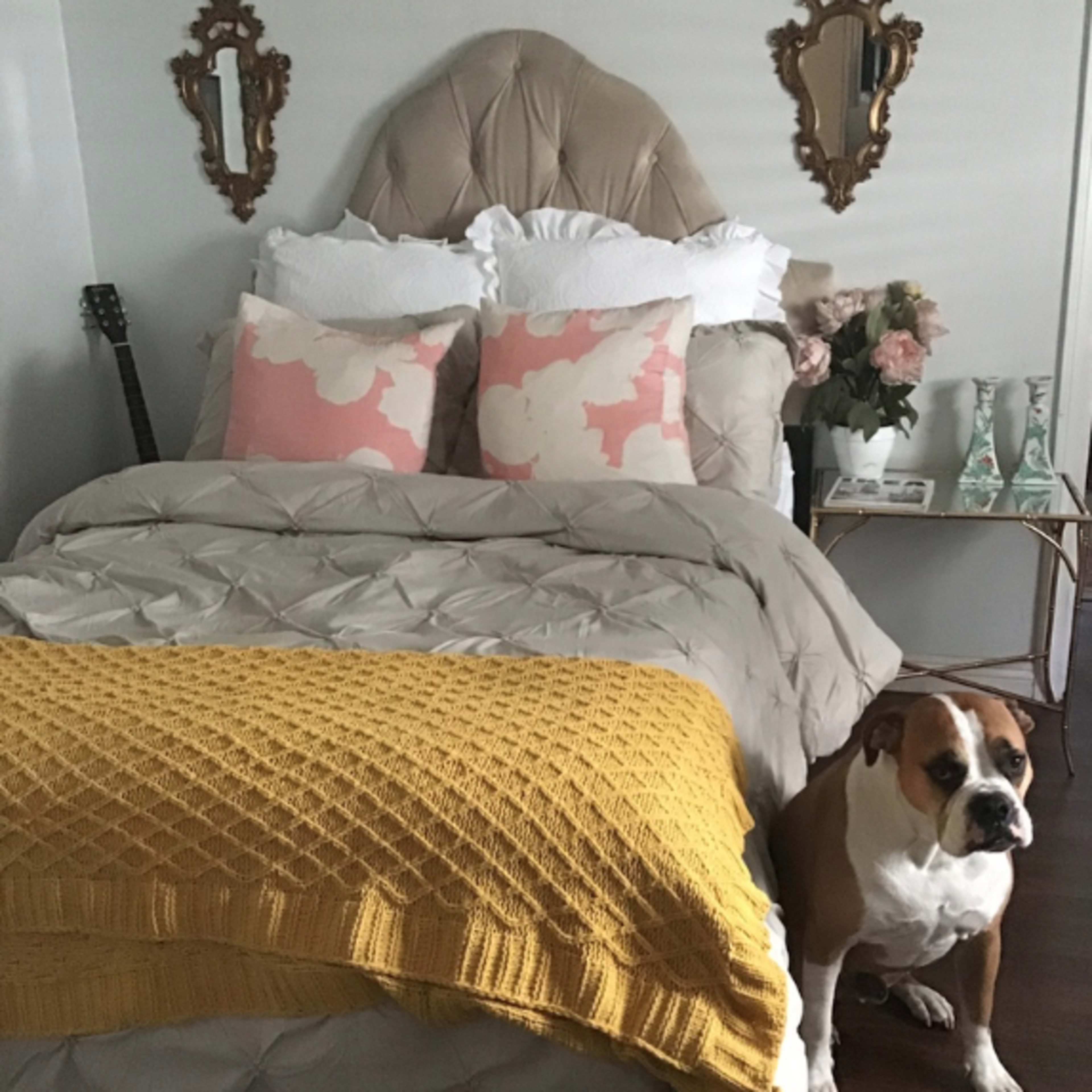 A neatly arranged bedroom features a bed with decorative pillows, a knitted blanket, and a boxer dog sitting beside it.