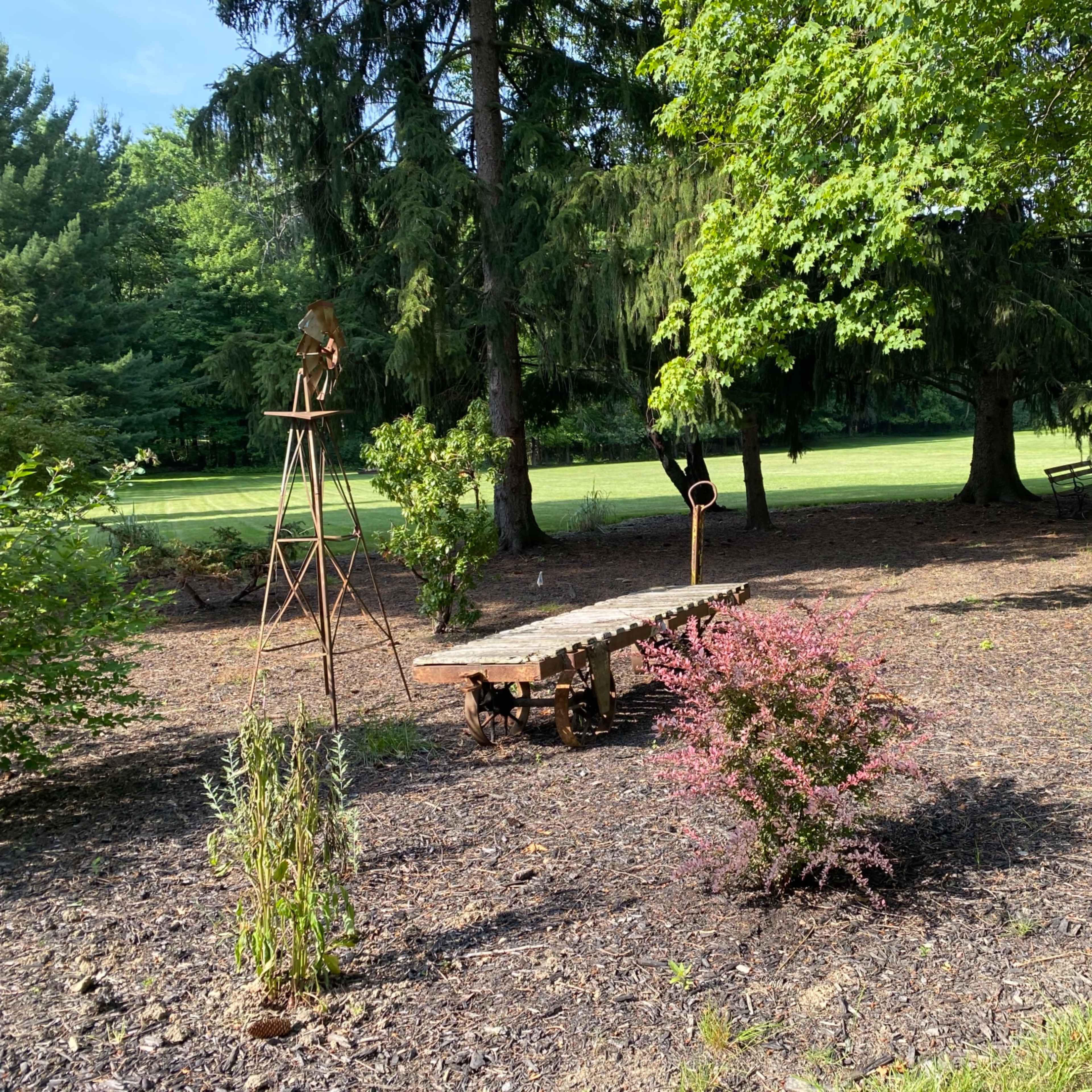 A garden area features a wooden bench, a stone pathway, and various plants surrounded by tall trees.