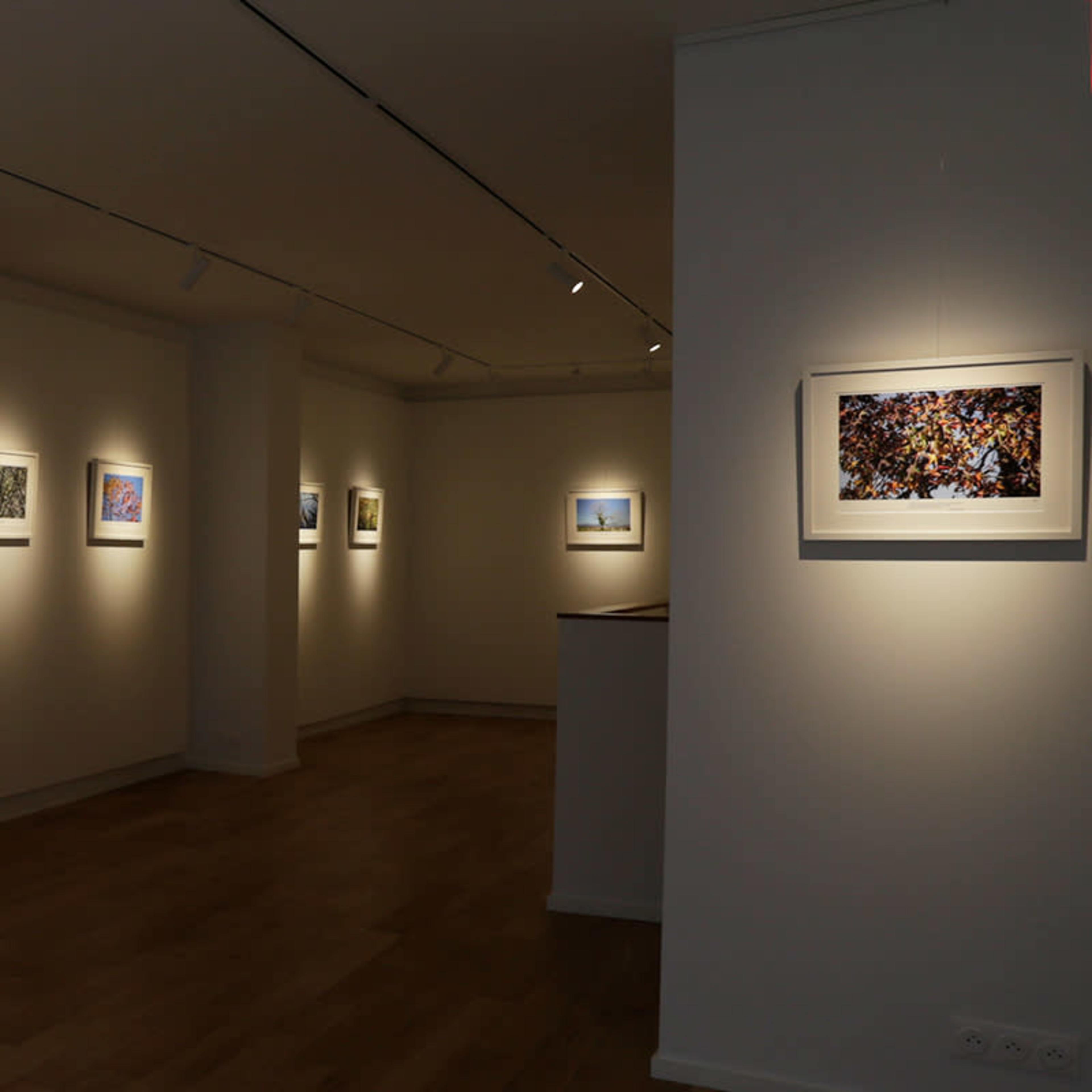 A gallery space is illuminated with framed photographs hanging on the walls.