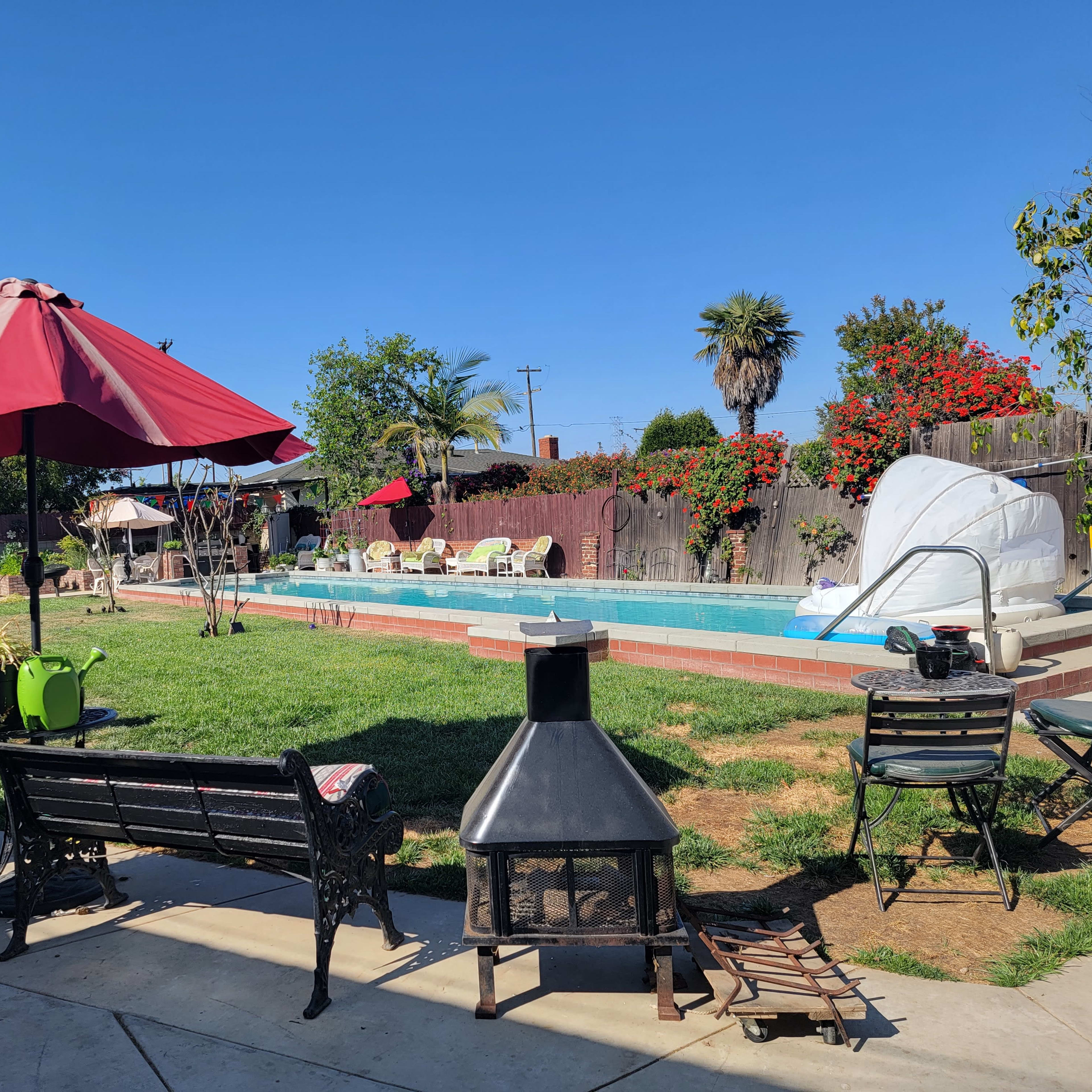 A backyard featuring a swimming pool surrounded by lounge chairs and umbrellas, with a fire pit and various plants in the foreground.