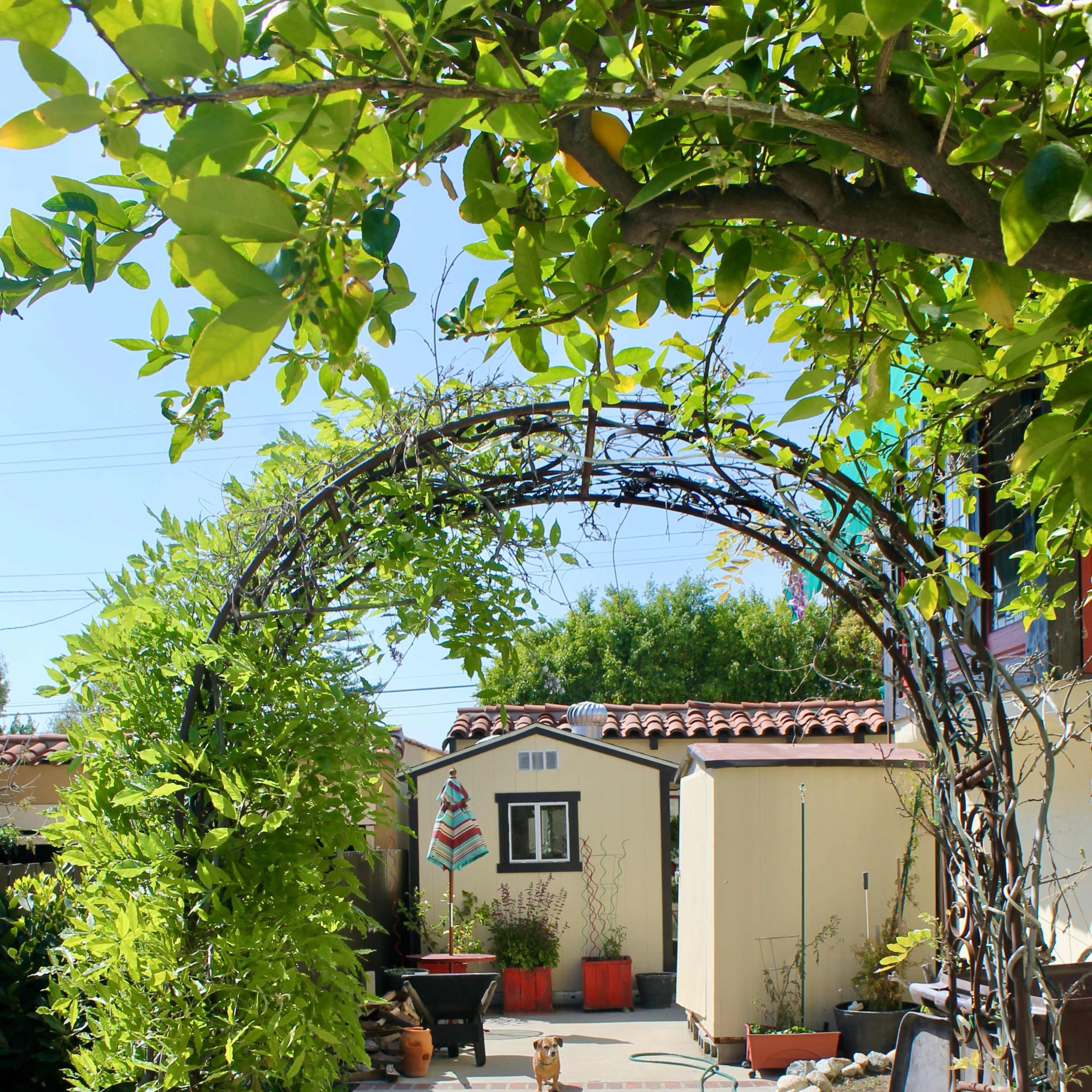 A decorative archway made of vines leads into a backyard area with potted plants and a small pathway.