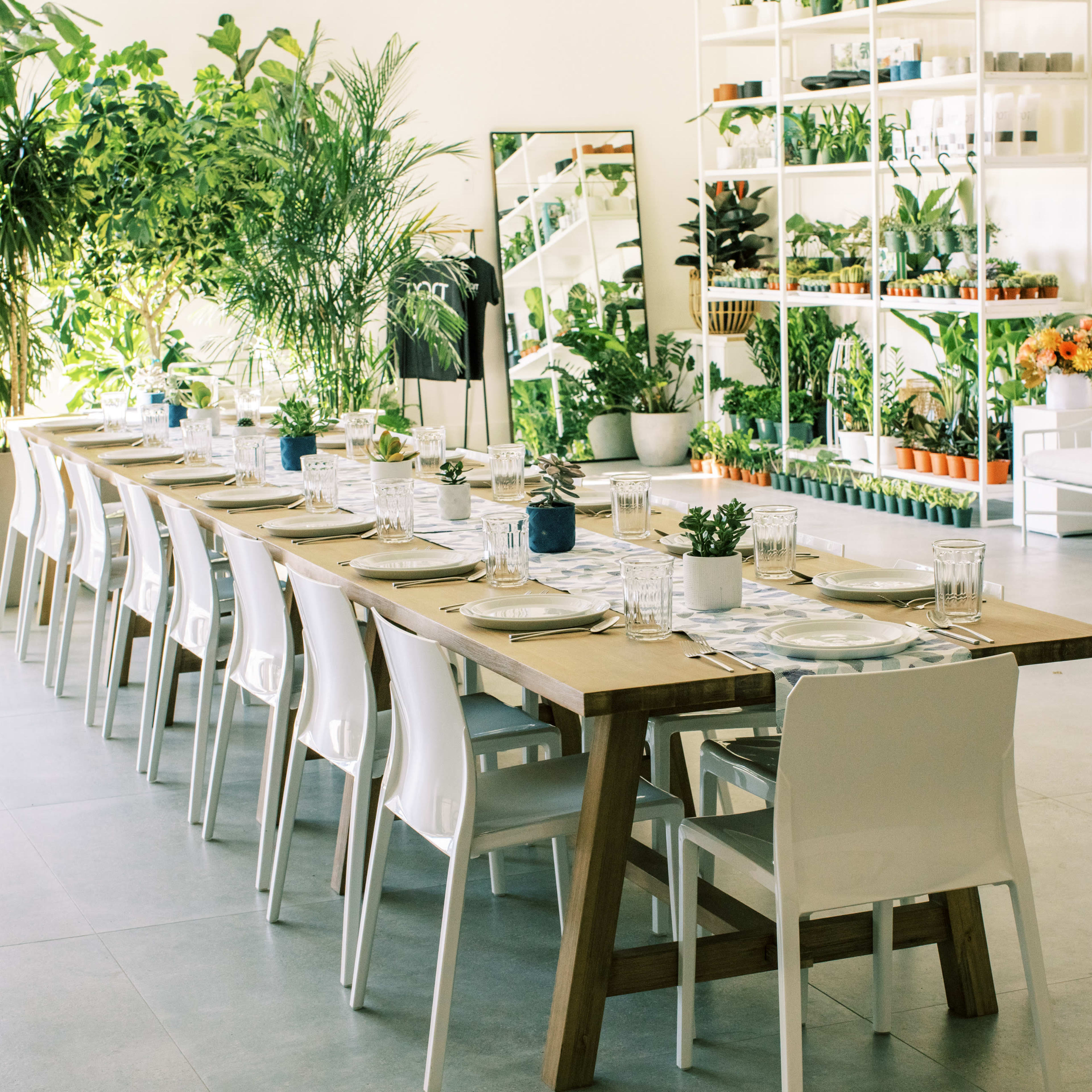 A long wooden dining table is set for a meal, surrounded by white chairs, in a bright room filled with potted plants and shelving units.