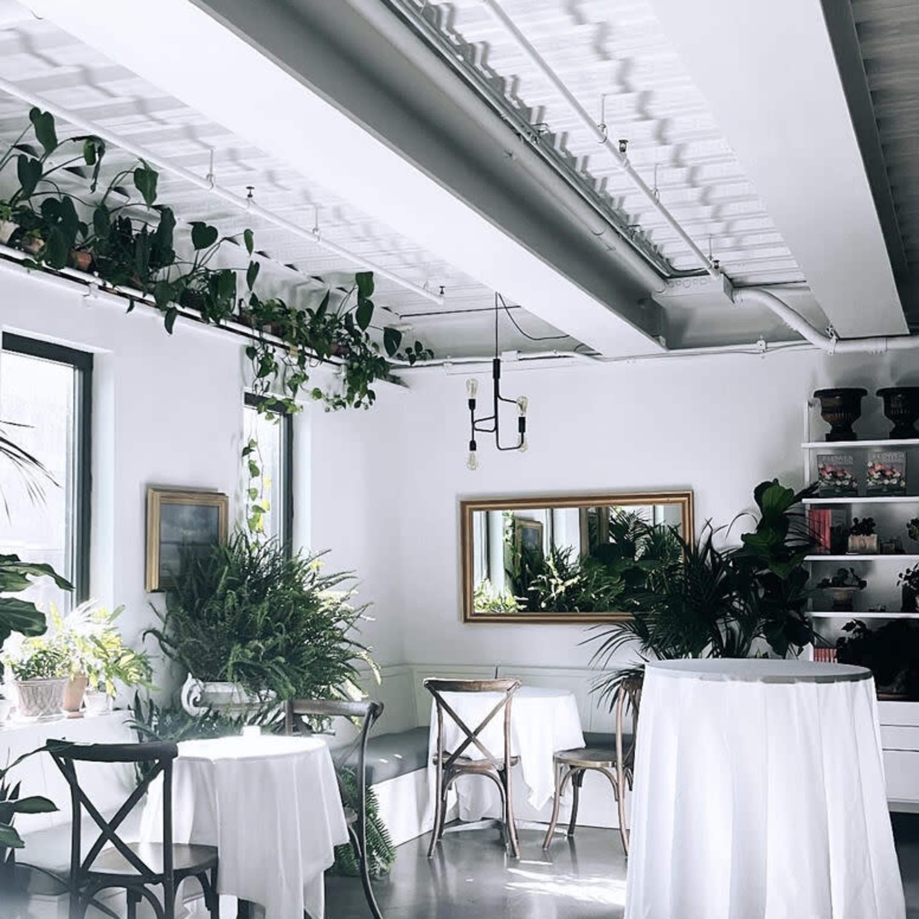 A spacious, well-lit interior with tables covered in white tablecloths, surrounded by greenery and a large mirror on one wall.