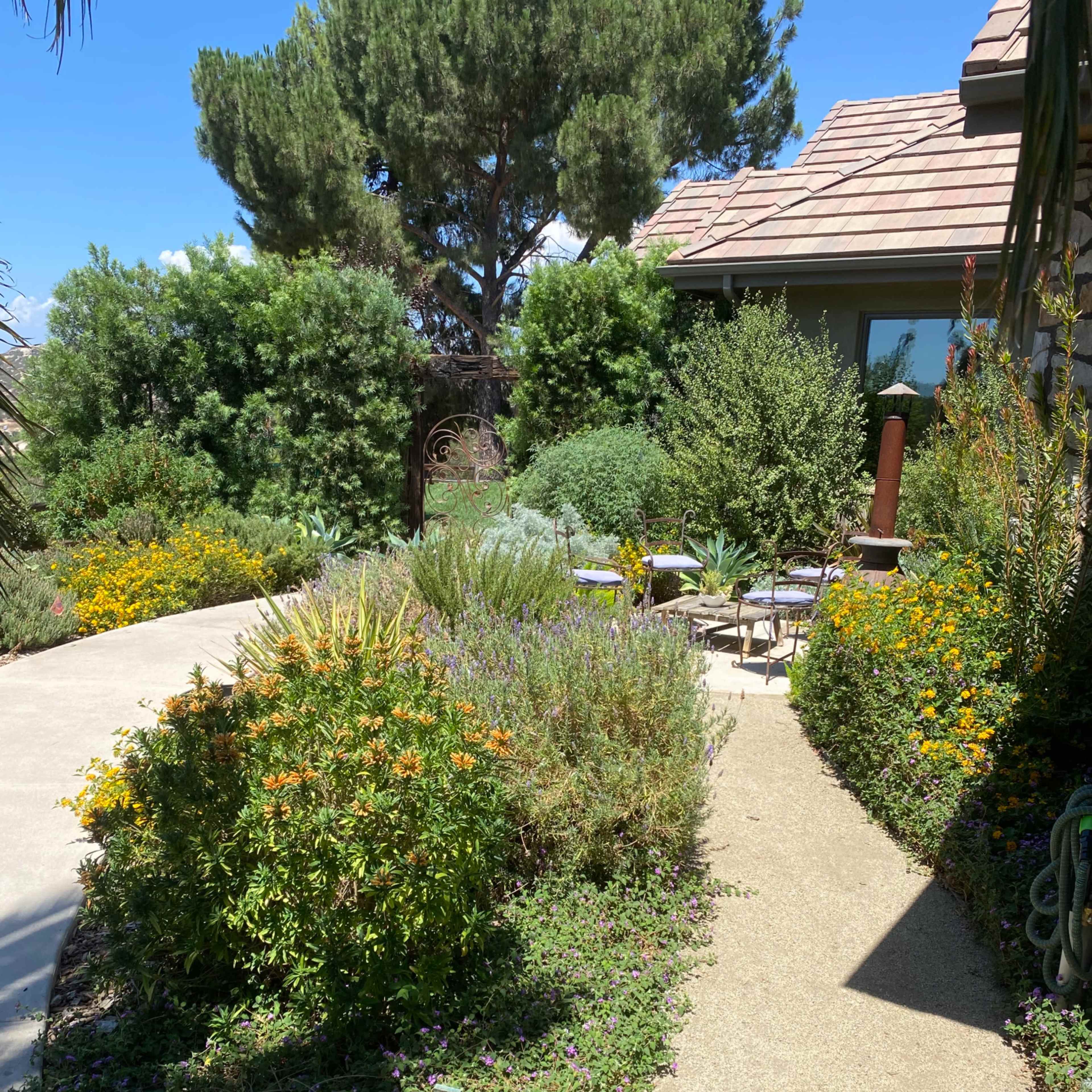 A winding path leads through a landscaped garden filled with various plants and flowers, flanked by a house and trees under a clear blue sky.
