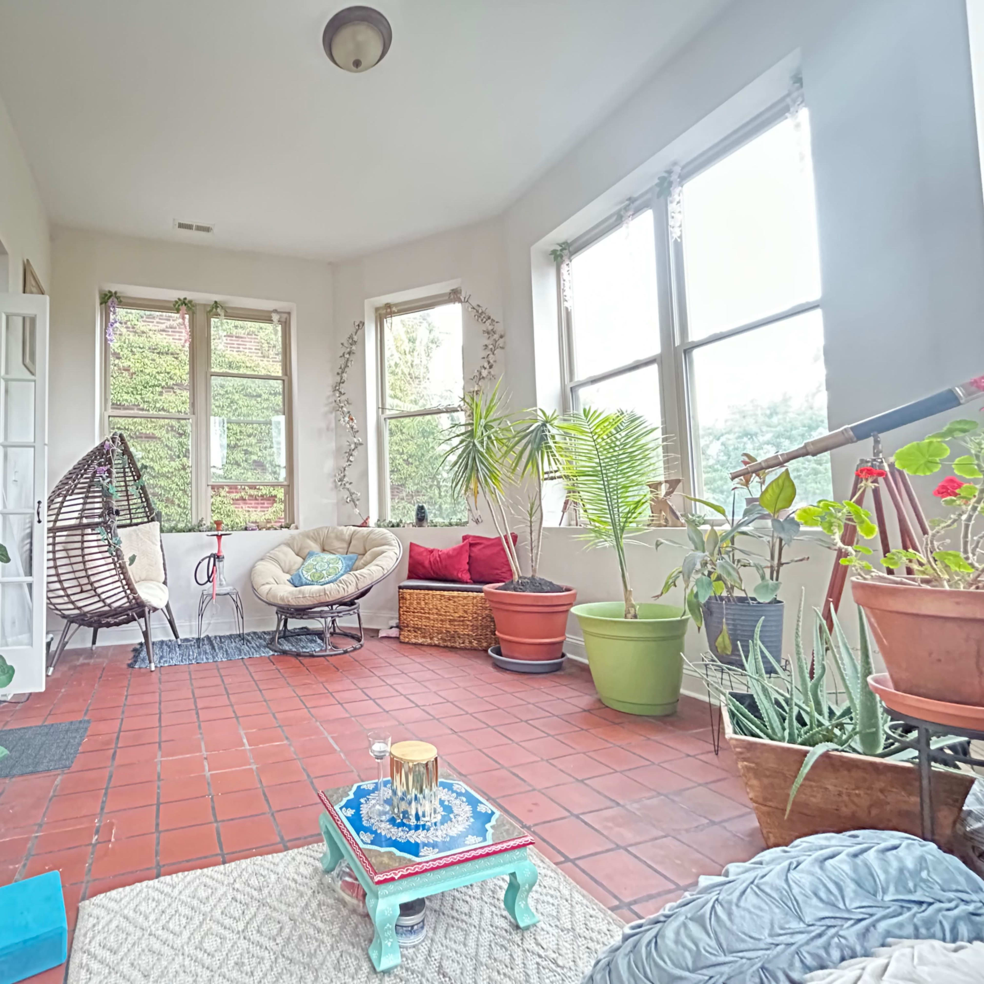 A sunlit sunroom with plants, a hanging chair, and a seating area featuring various potted greenery.