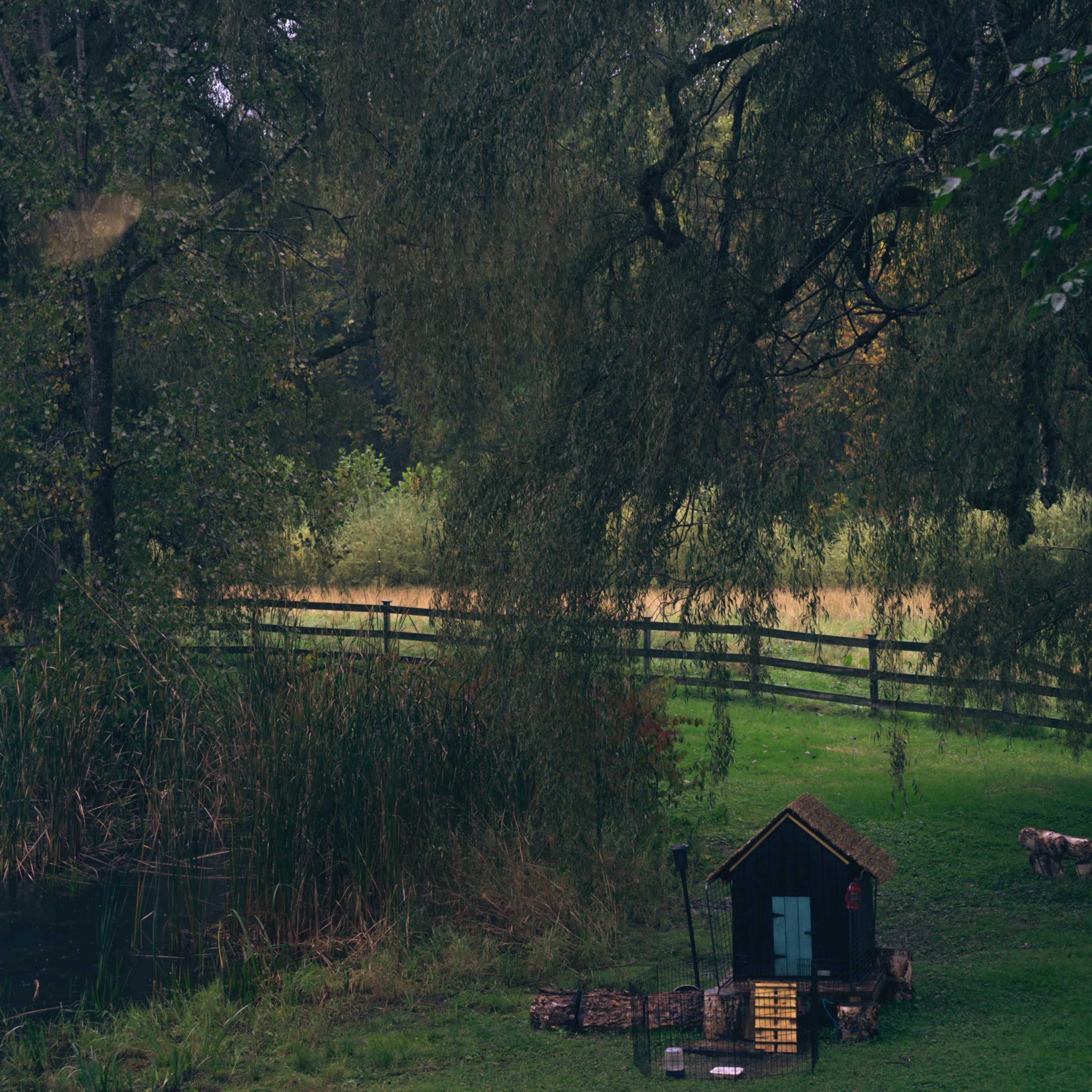 A lovely farm by the creek with a friendly horse and a picturesque landscape, perfect for a photoshoot. Image in New Lebanon, East Nassau, NY