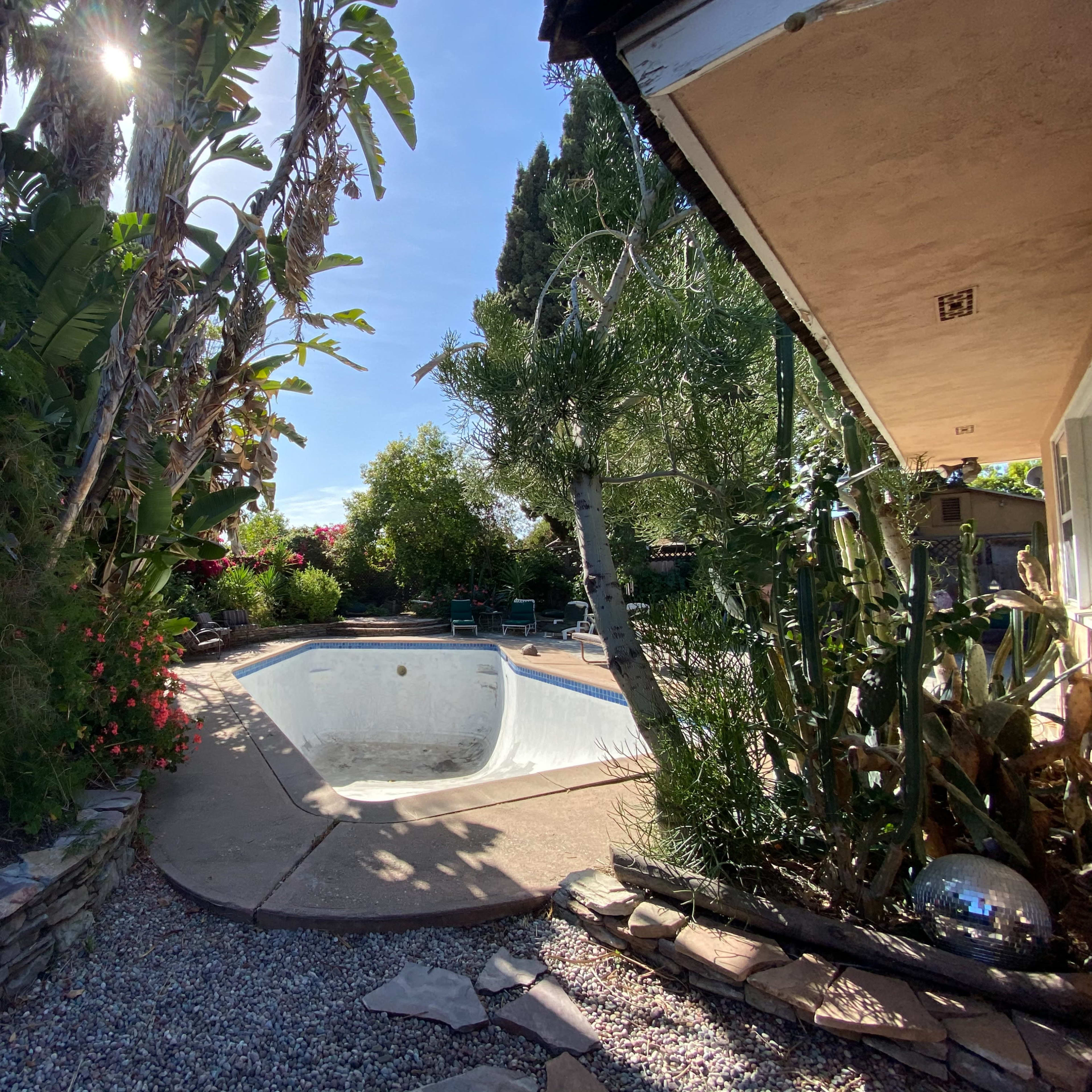 The scene shows an empty pool surrounded by tropical plants and trees in a backyard setting.