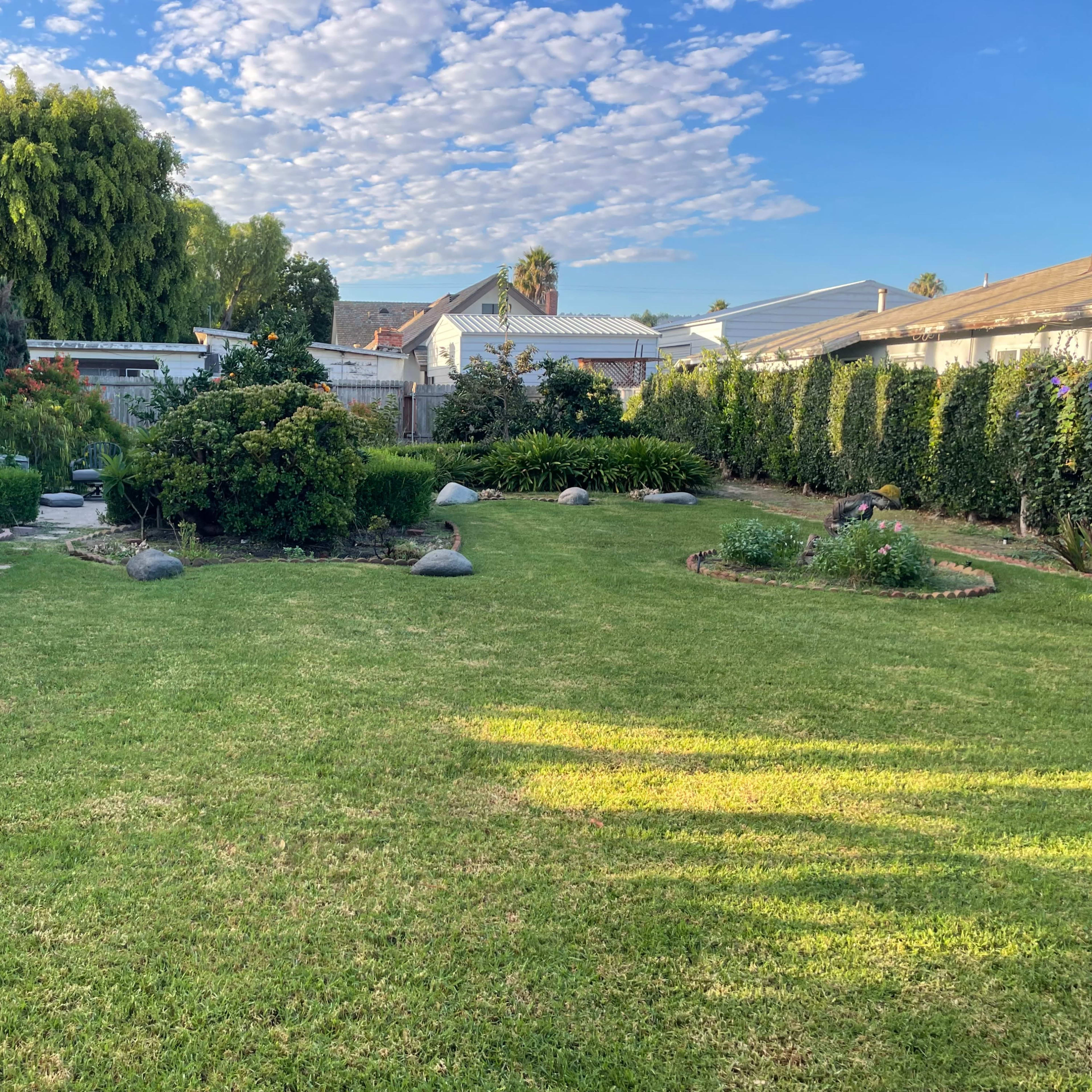 A well-maintained backyard with a grassy lawn, shrubs, and stone pathways, bordered by tall evergreen trees.