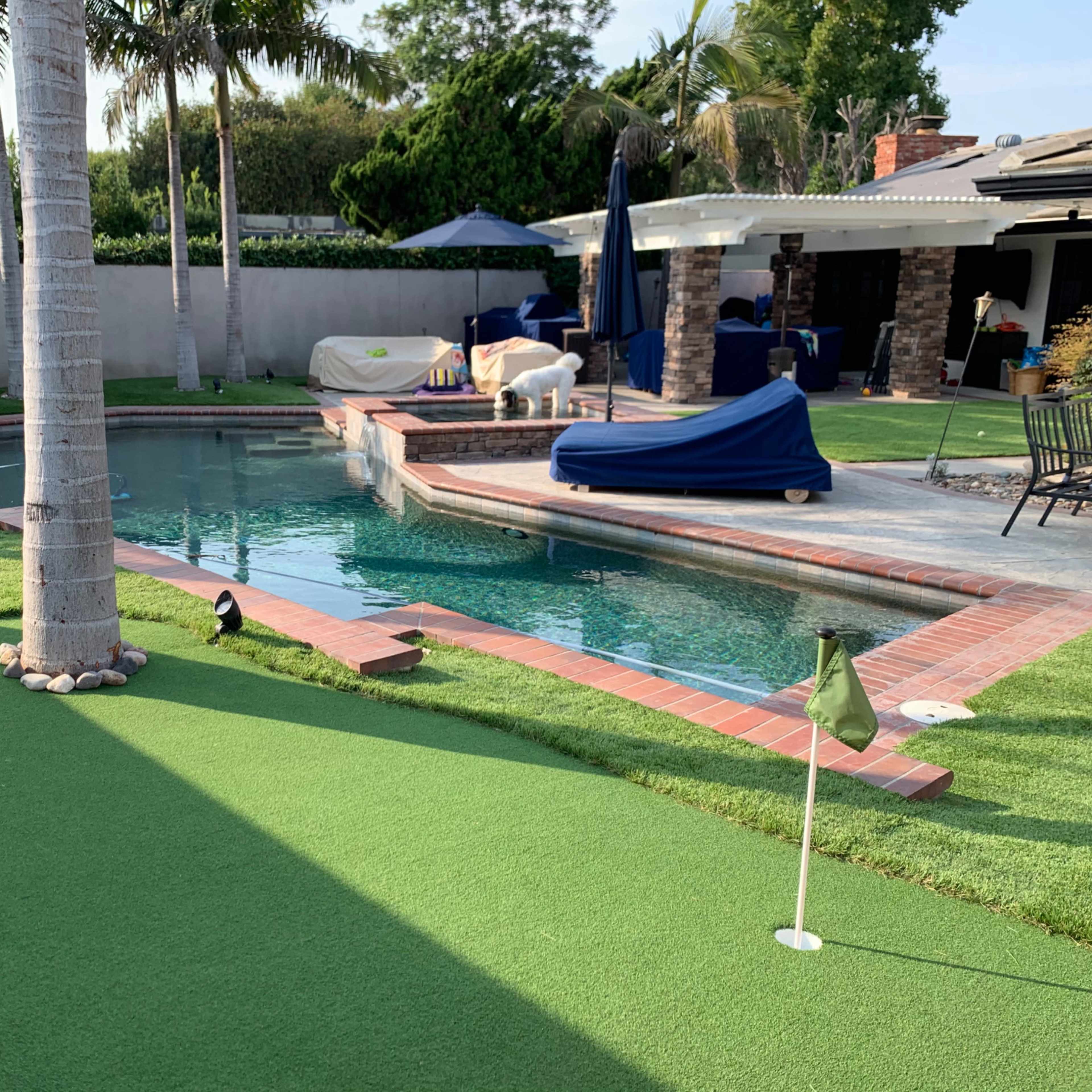 A pool area surrounded by lush green grass and palm trees, with several lounge chairs and a covered patio in the background.