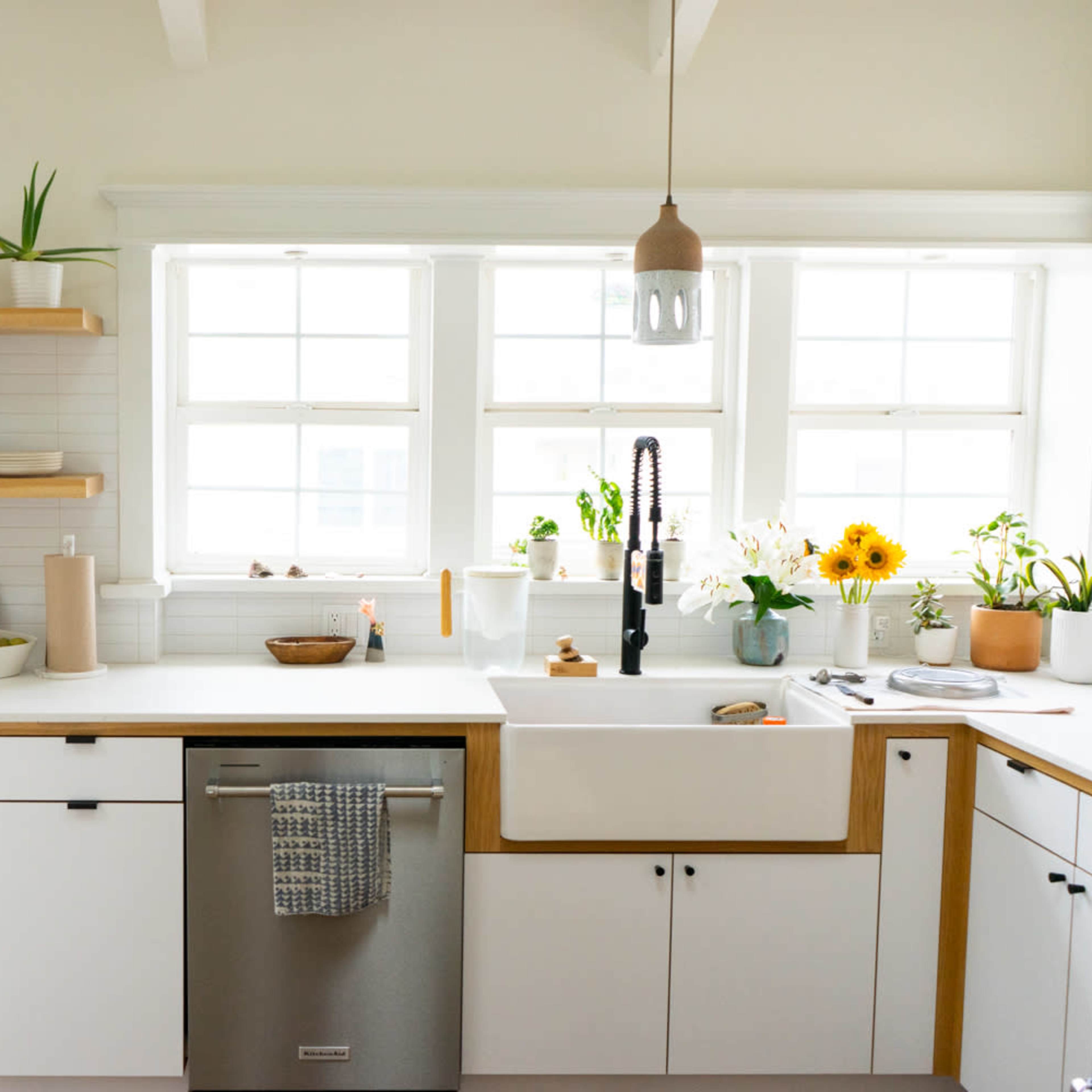 A modern kitchen with a farmhouse sink, open shelving, and various plants on the counter and windowsill.