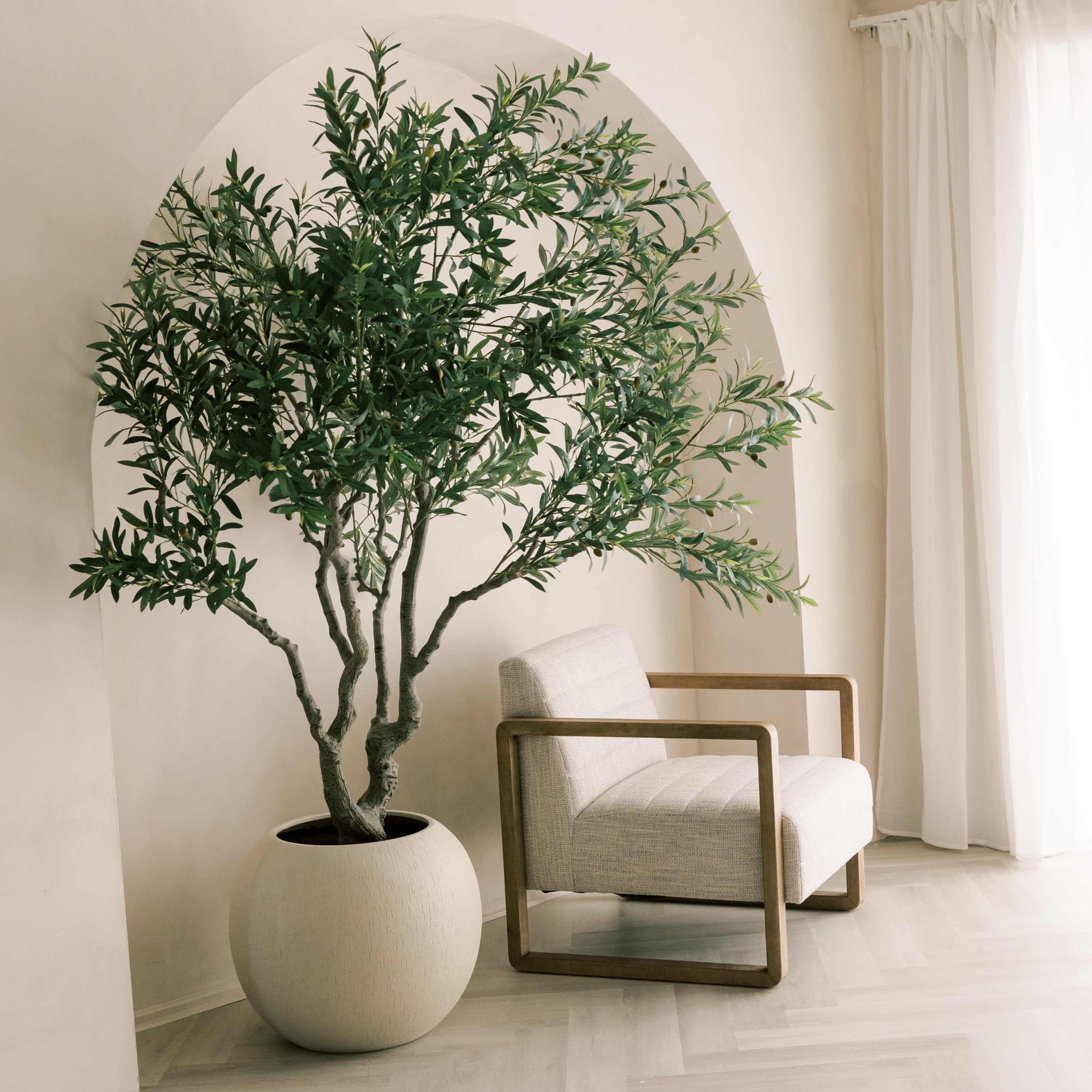 A potted tree stands next to a modern chair in a softly lit interior space with white curtains.