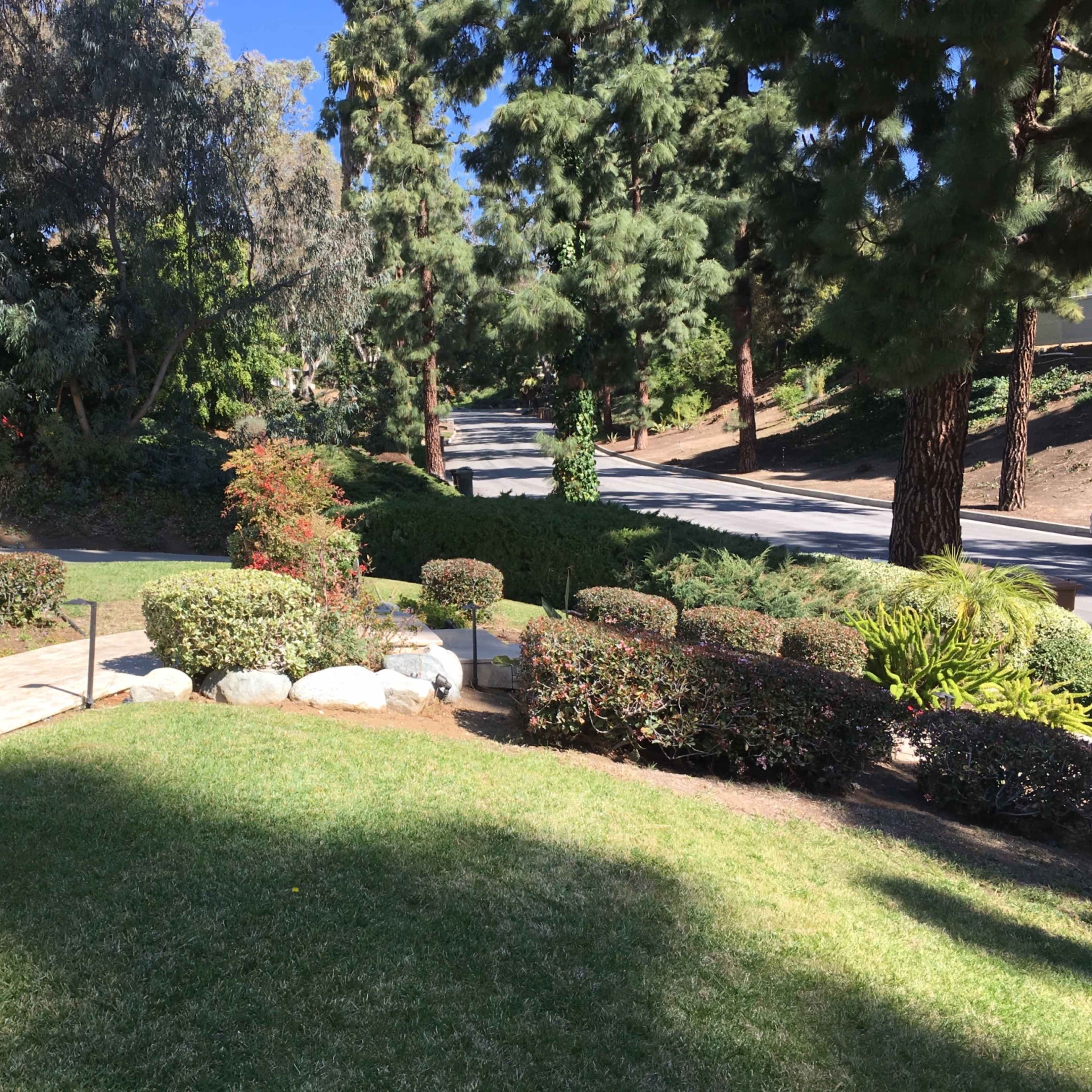 A well-maintained garden with shrubs and a pathway leading to a street lined with trees.