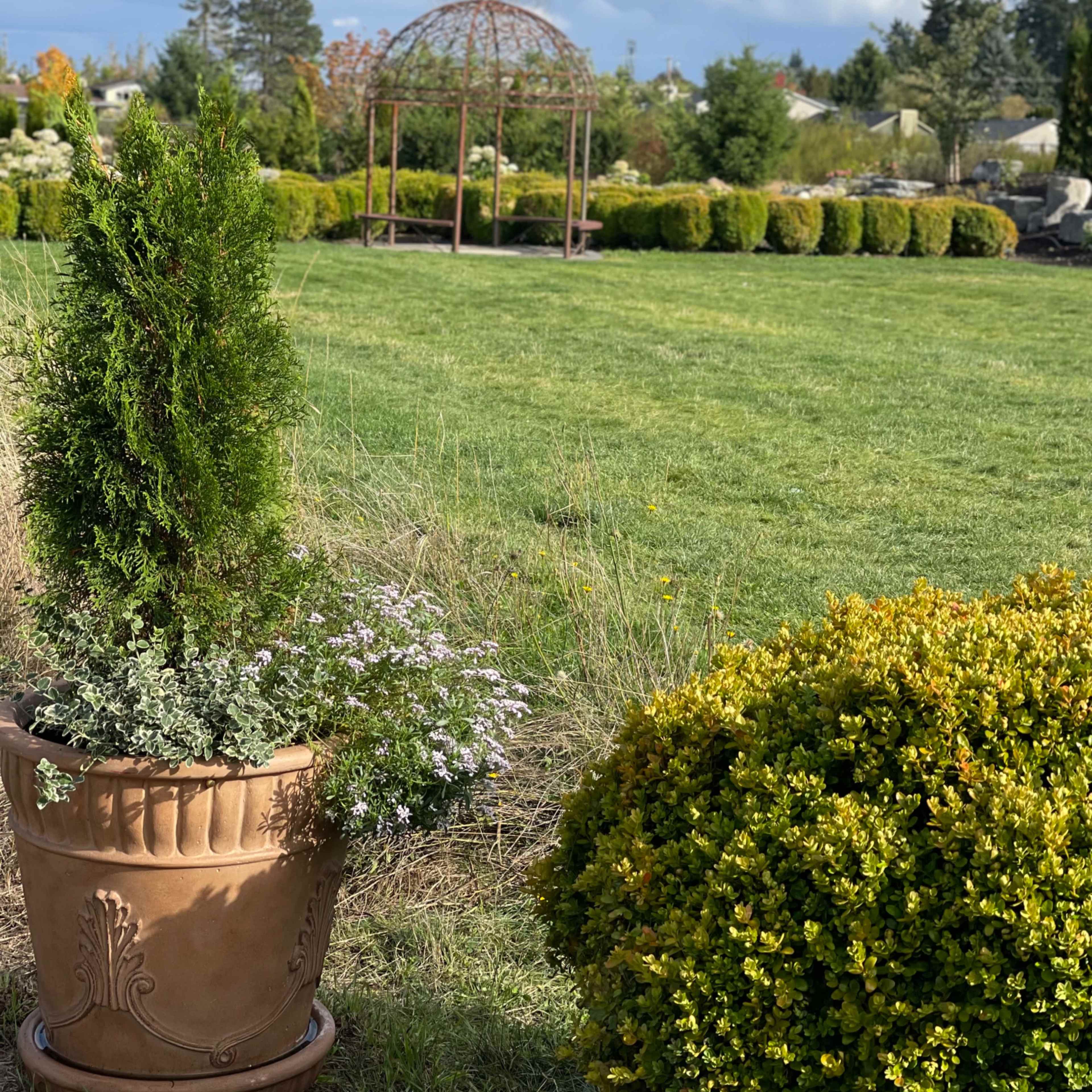 A landscaped garden features a gazebo in the distance, surrounded by neatly trimmed hedges and potted plants in the foreground.