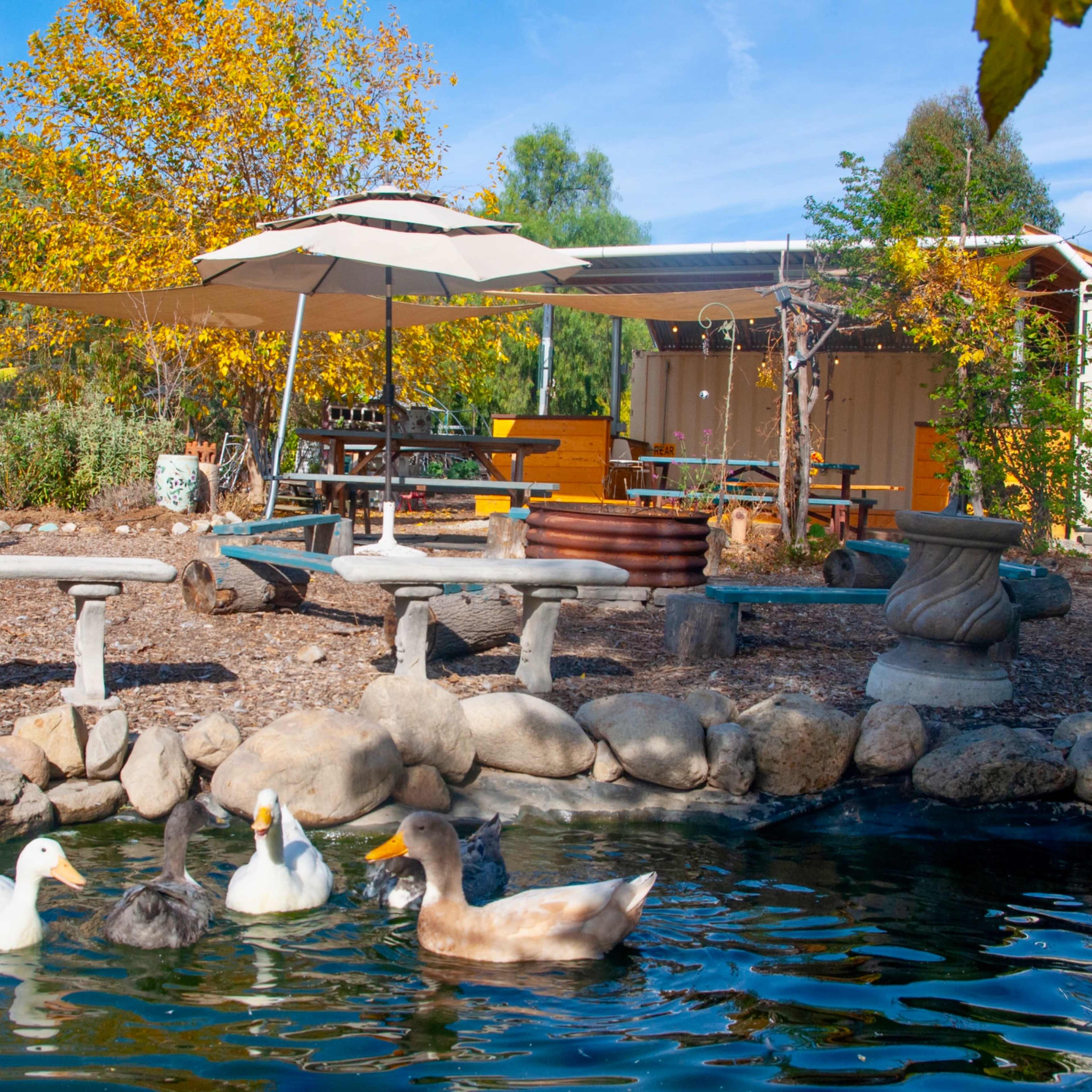 Serene Oak Grove Ranch & Garden Sanctuary | Santa Clarita Image in Hasley Canyon, Castaic, CA