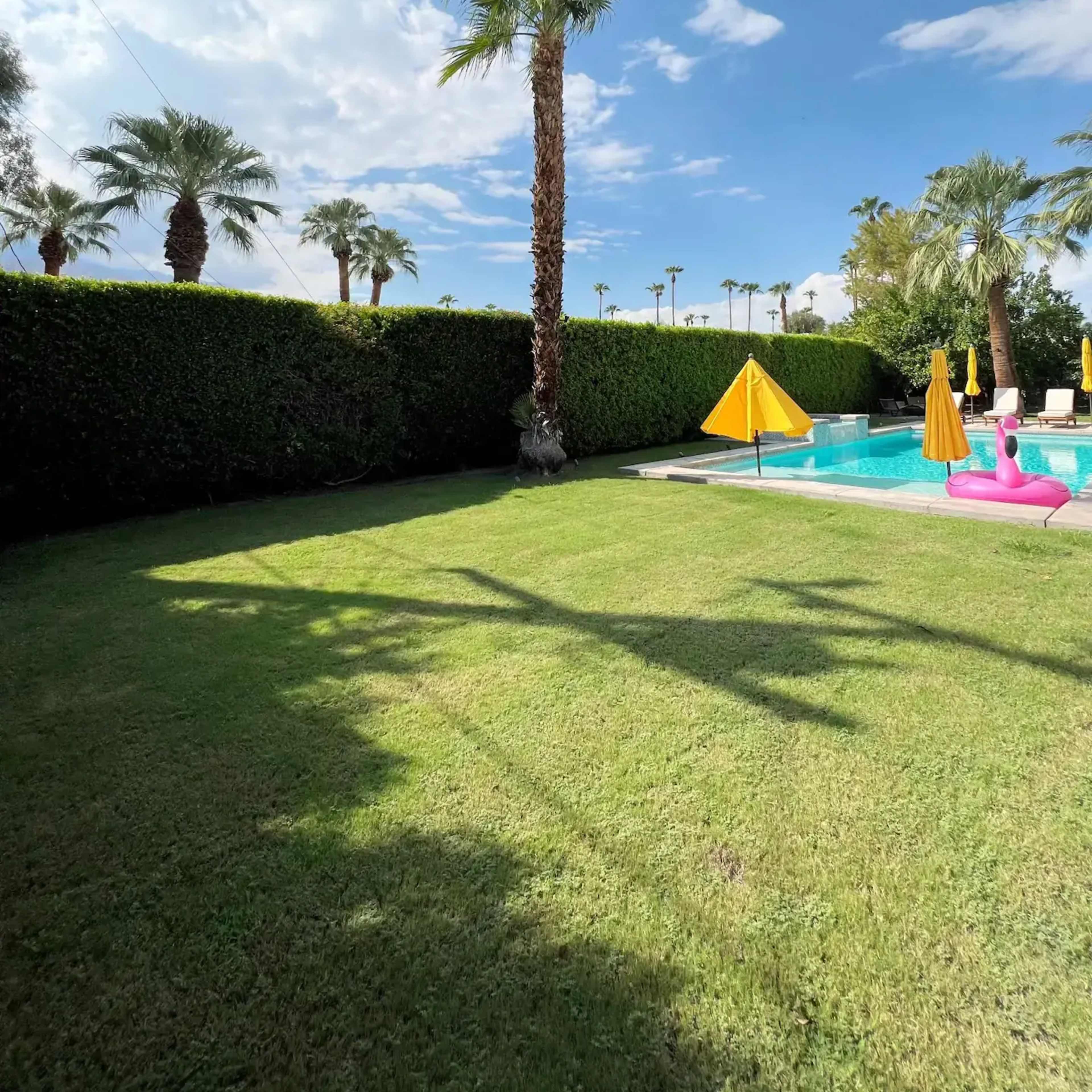 A green lawn with a swimming pool surrounded by palm trees and two yellow umbrellas.