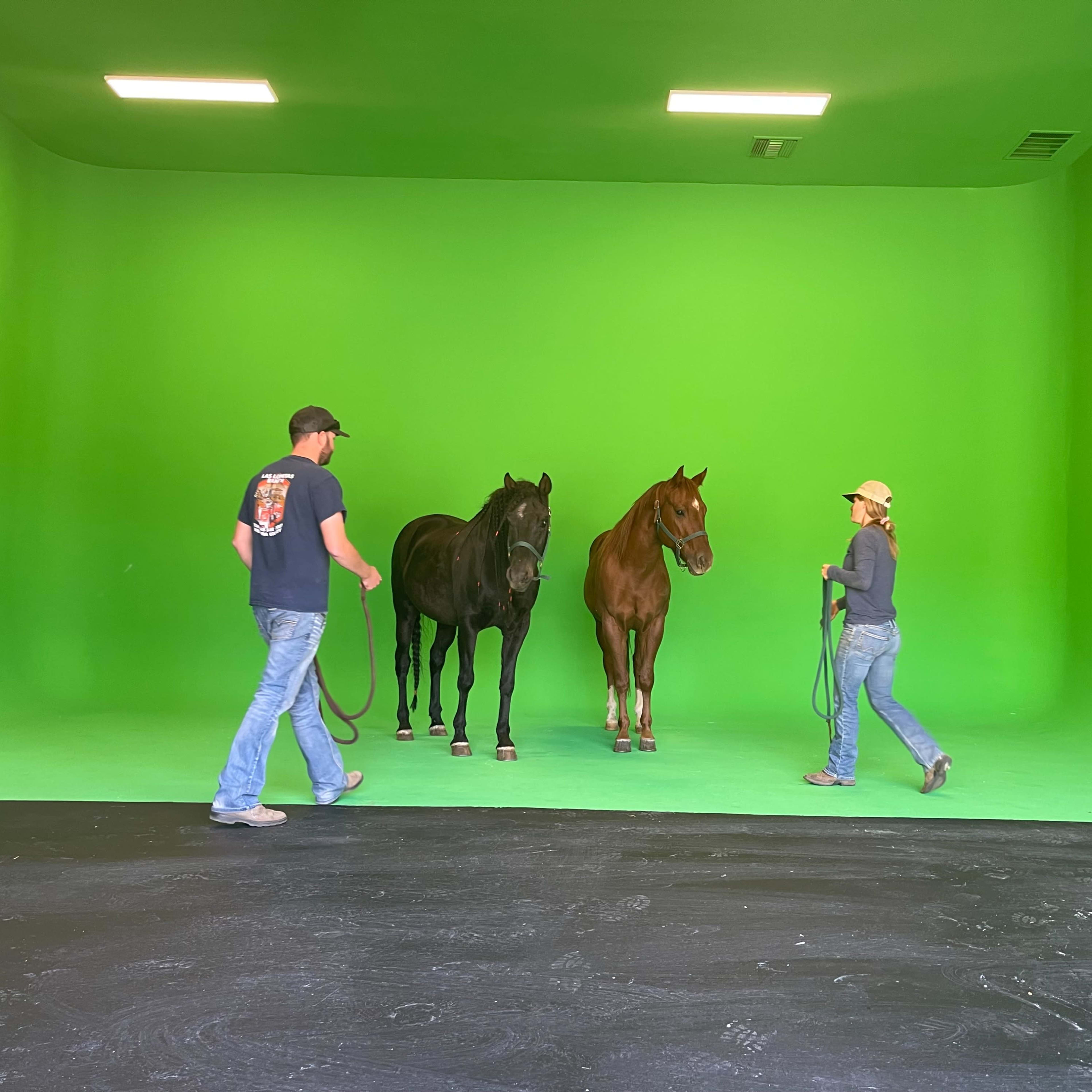 Two people lead two horses in a spacious green studio with a smooth floor and green backdrop.