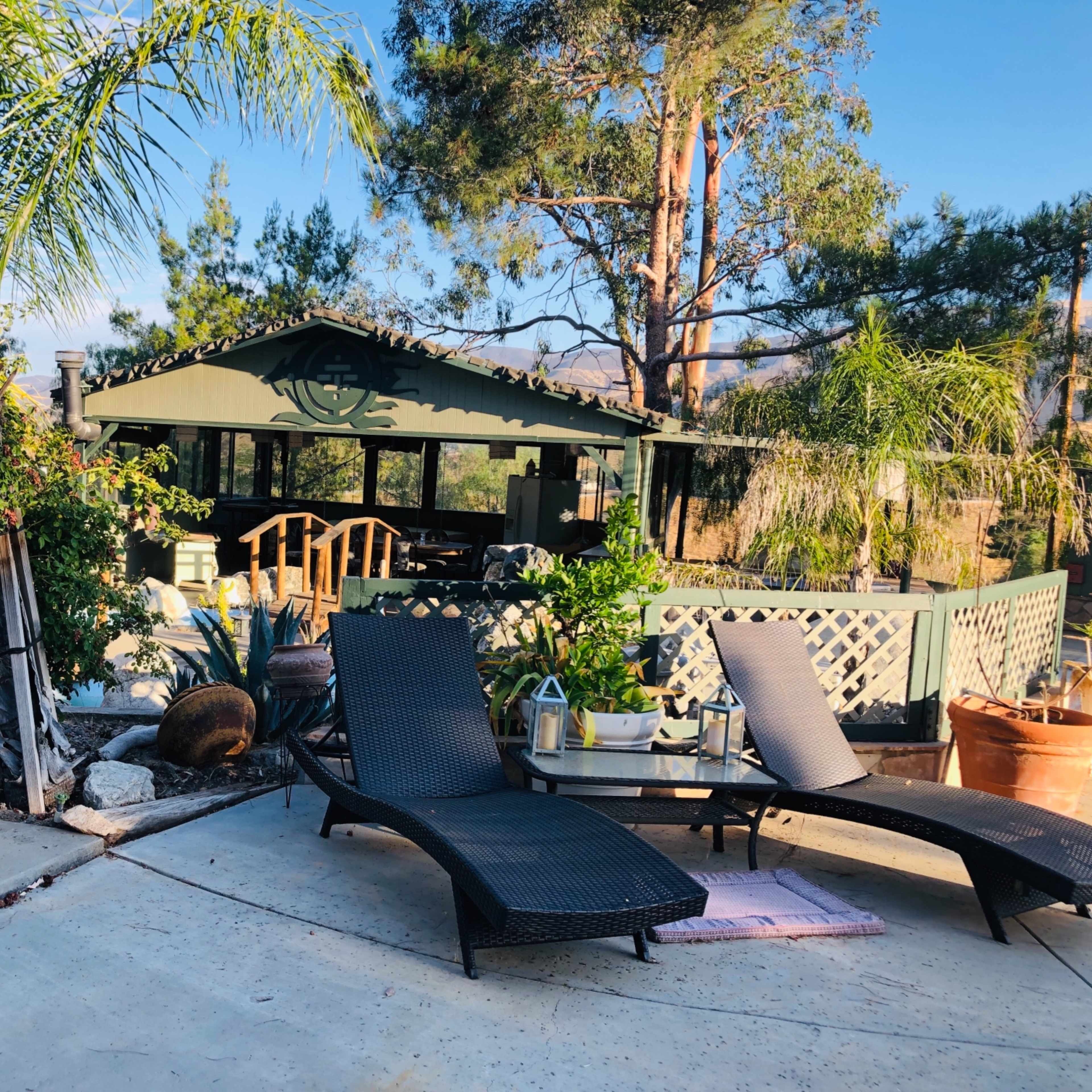 A backyard scene featuring two black lounge chairs beside a swimming pool, with a green cabin and various plants in the background.