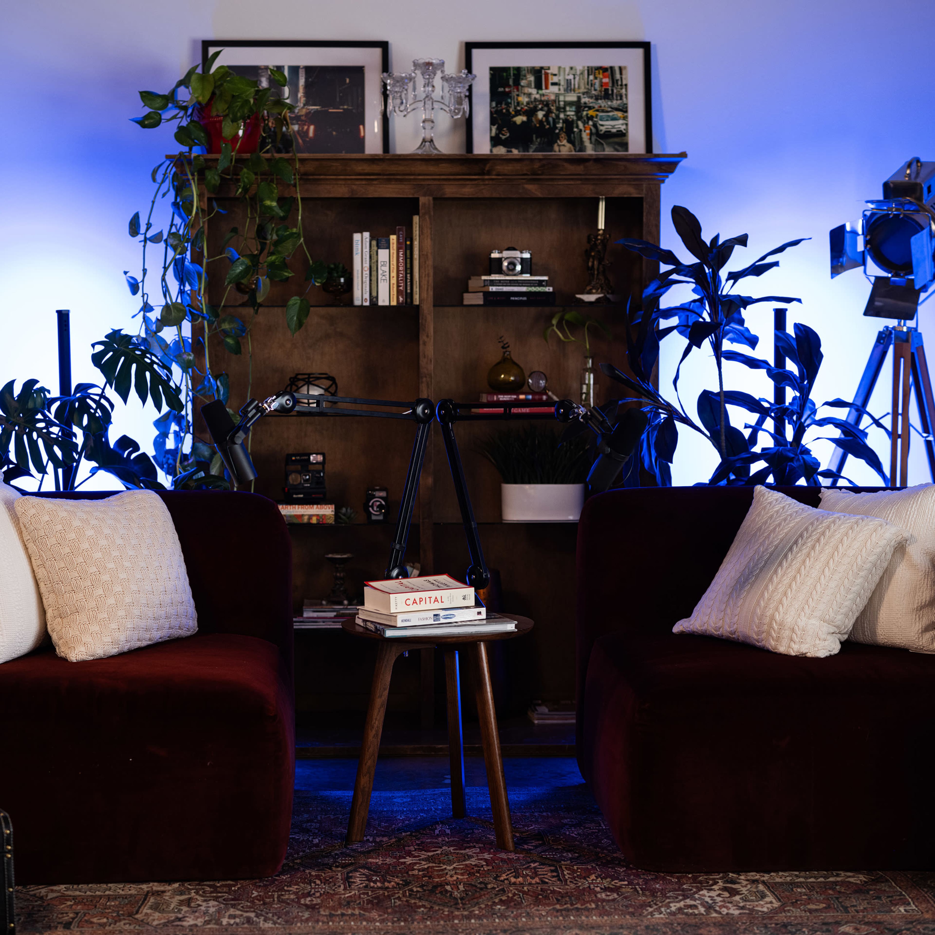 A cozy seating area features two plush maroon couches with white pillows, surrounded by plants and a wooden bookshelf, with a small table holding books and vintage cameras, illuminated by blue lighting.