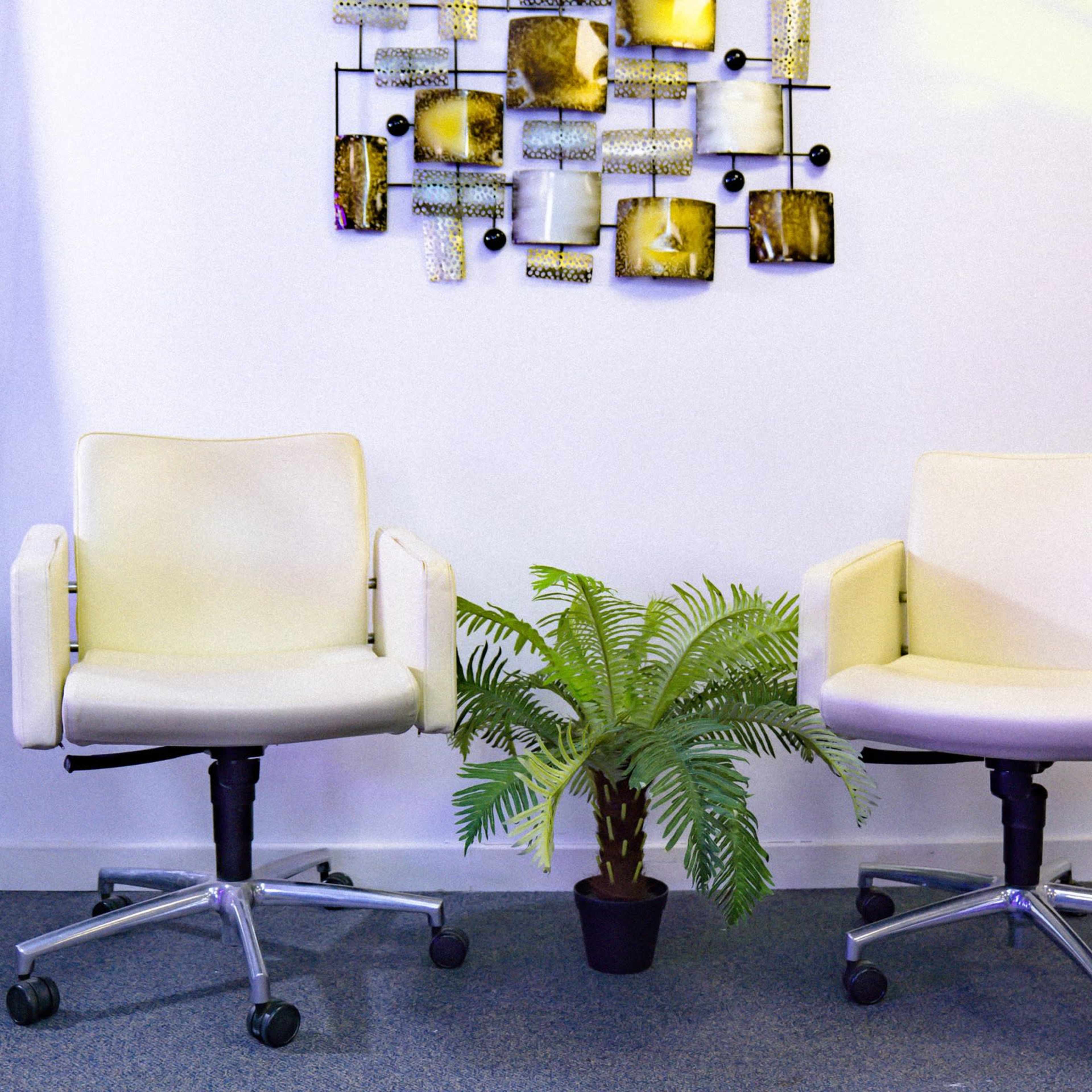 Two white swivel chairs are positioned on either side of a potted plant in front of a decorative wall display.