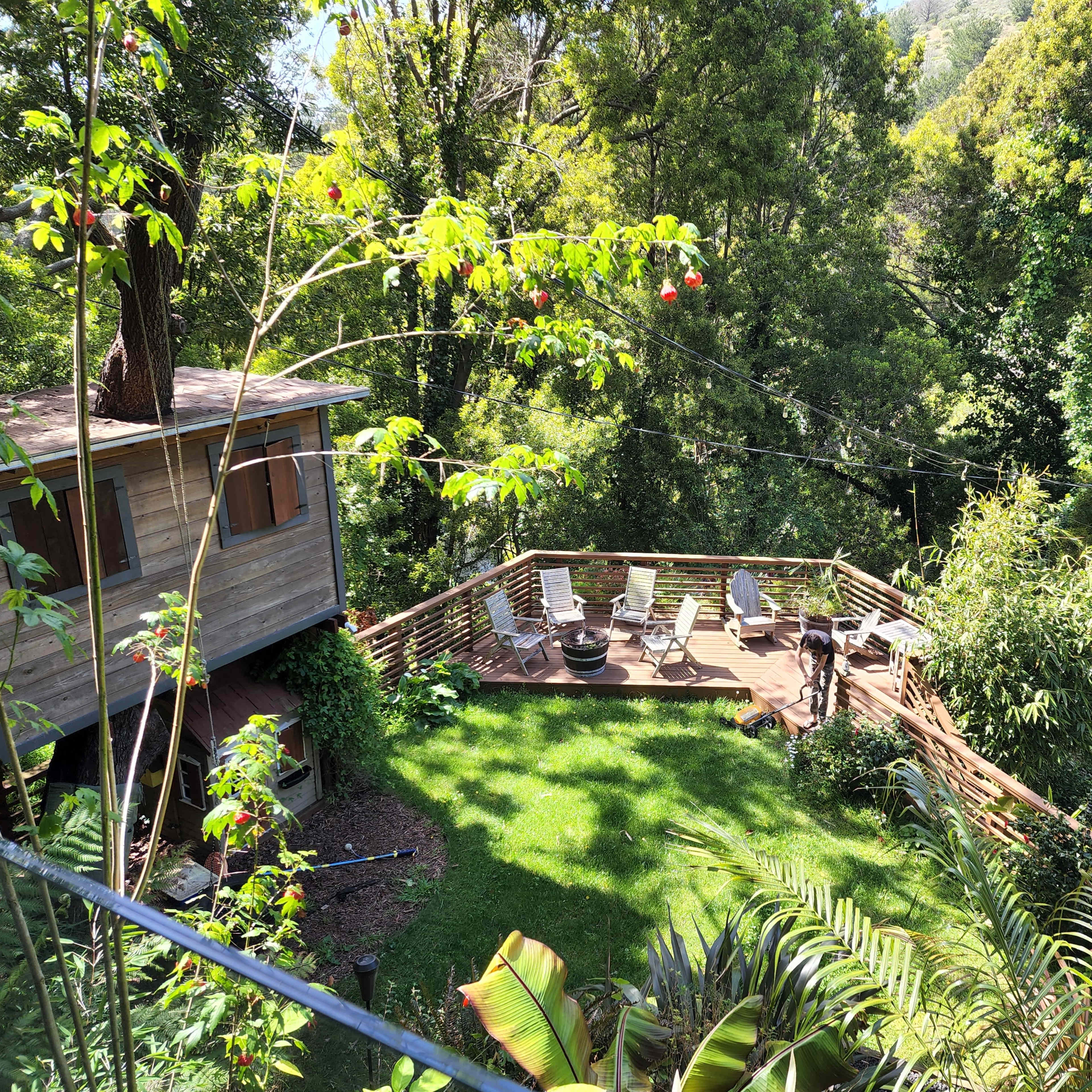 A wooden deck surrounded by greenery, with chairs arranged for seating and a treehouse nearby.