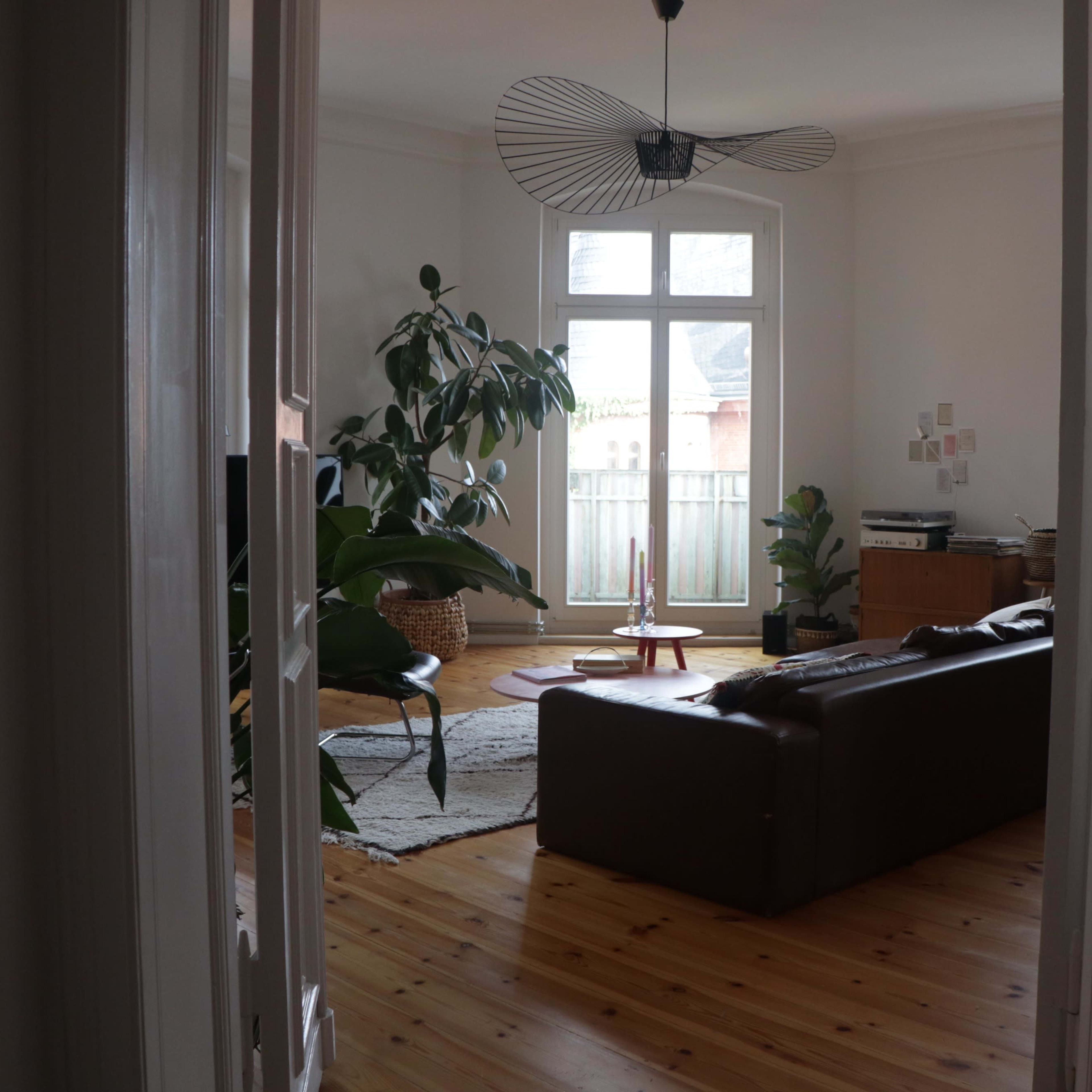 A view of a living room with a brown sofa, a large plant, and a light fixture, seen through an open doorway.