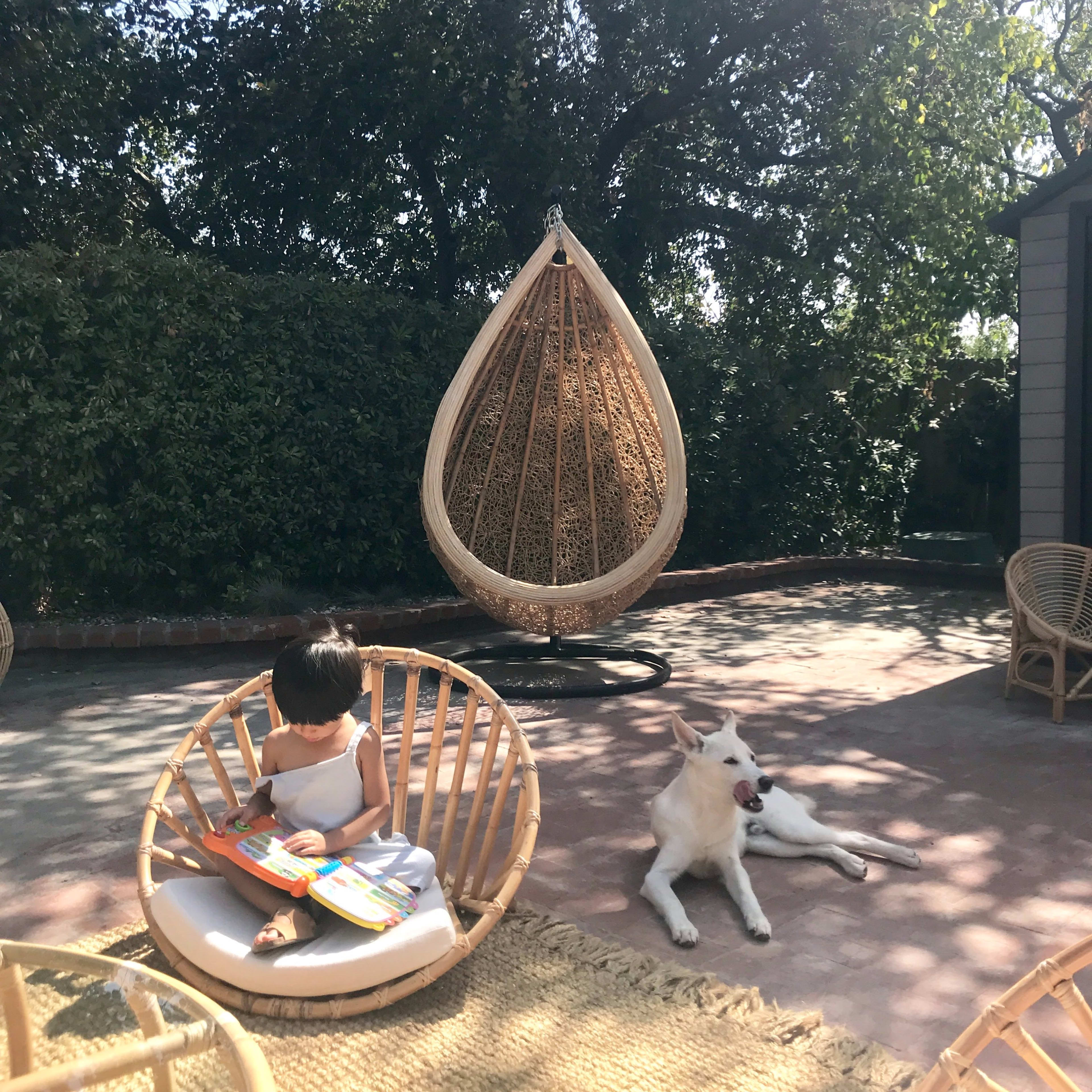 A child sits in a chair reading while a dog relaxes on the ground beside a hanging wicker chair in a sunlit outdoor space.