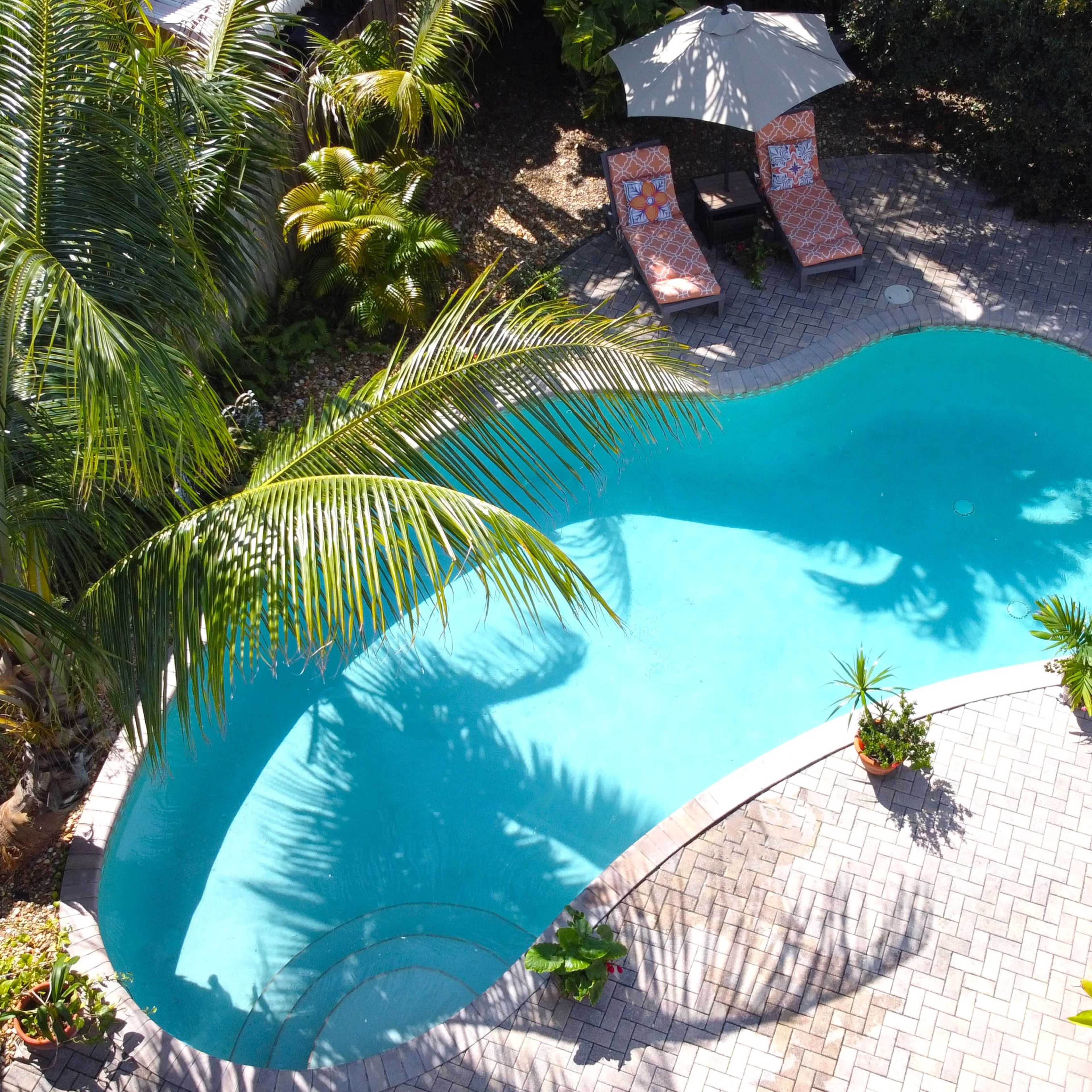 Charming 3/1 Pool Home with backyard Oasis Image in Oakland Park, Oakland Park, FL