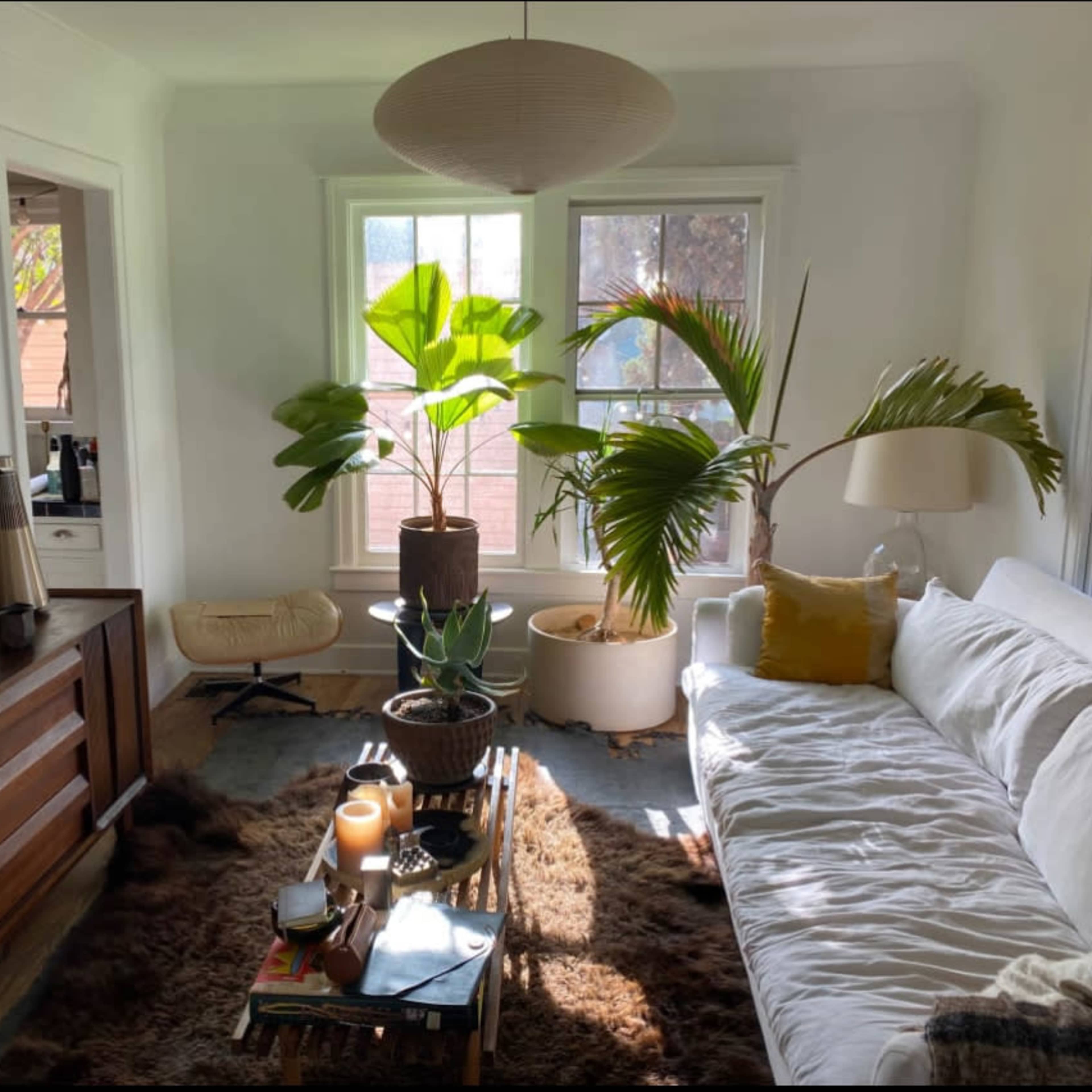 A modern living room with a white sofa, a wooden sideboard, and potted plants, illuminated by natural light streaming through large windows.