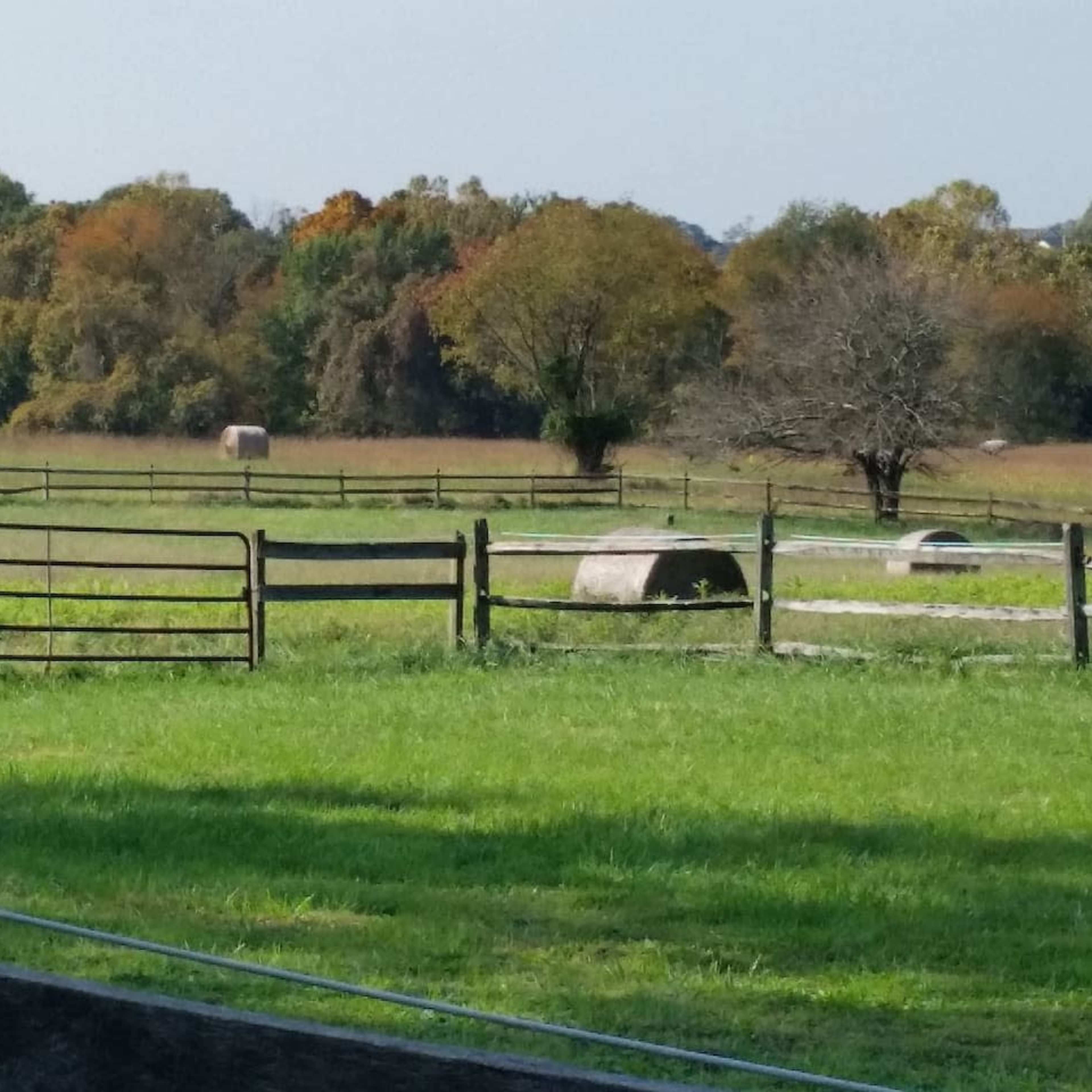 A rural landscape with round hay bales scattered across a green field, surrounded by wooden fencing and trees in the background.