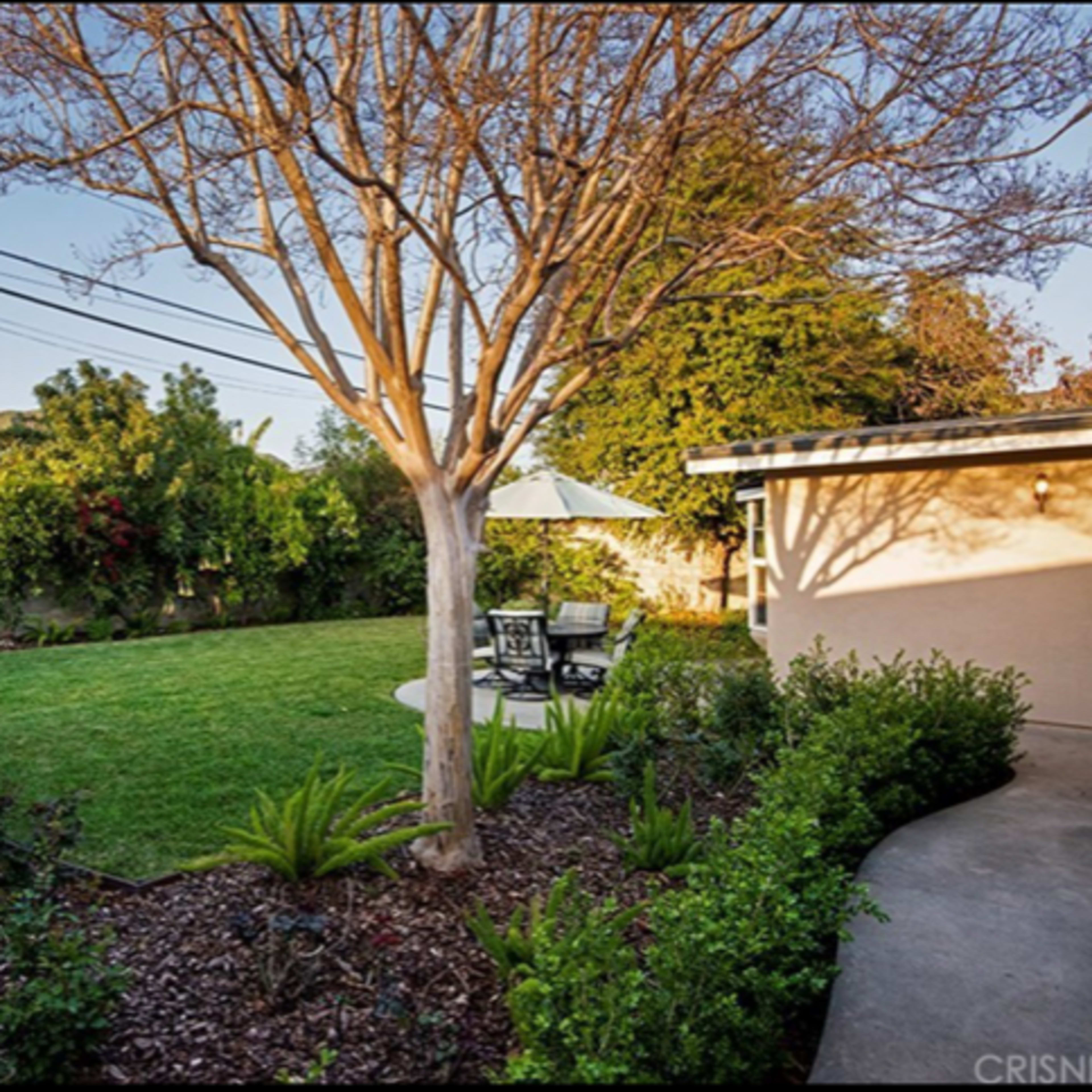 A backyard scene features a tree and a small patio set surrounded by greenery, with mountains visible in the background.