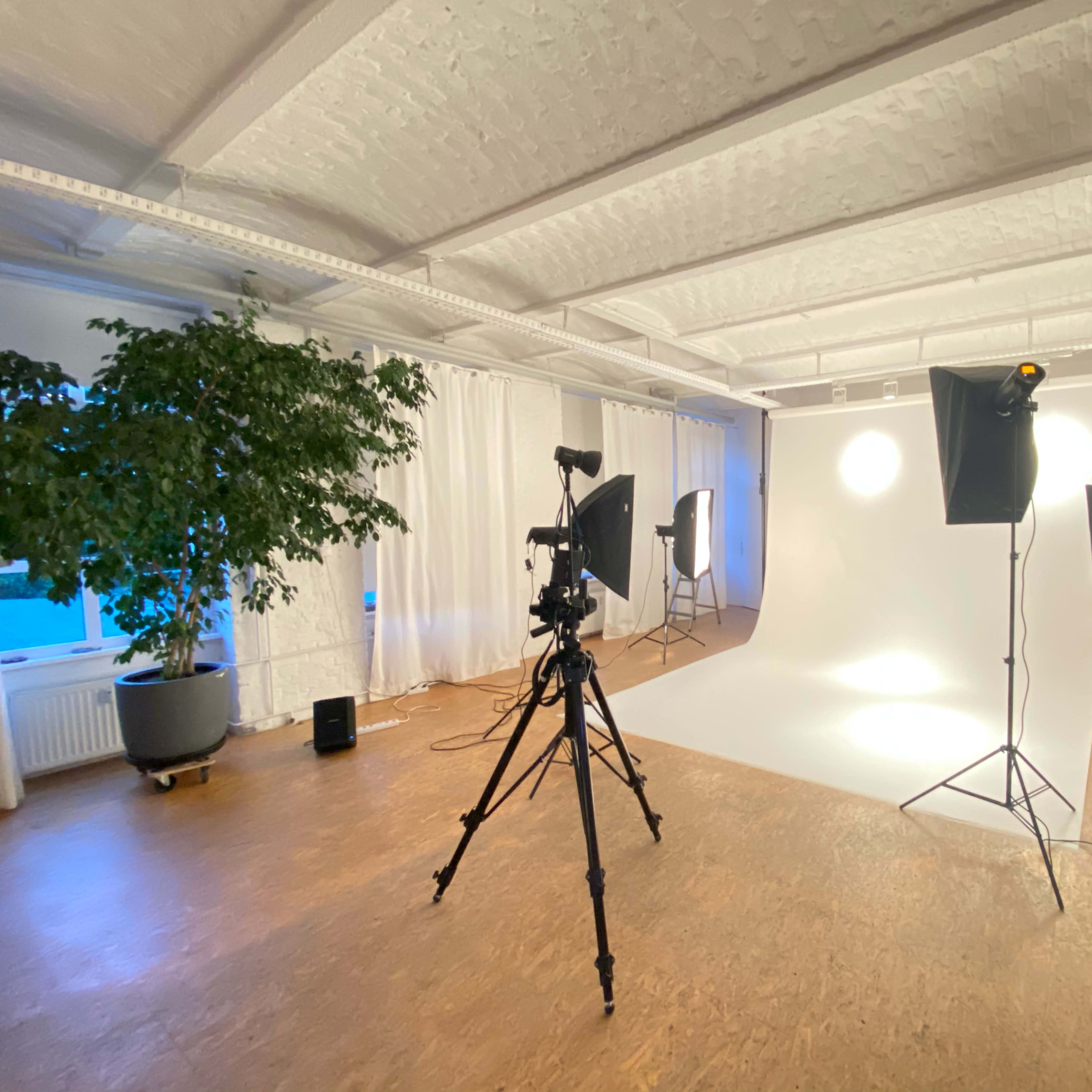 A studio space features a white backdrop with lighting equipment, a camera on a tripod, and a large potted plant in the corner.