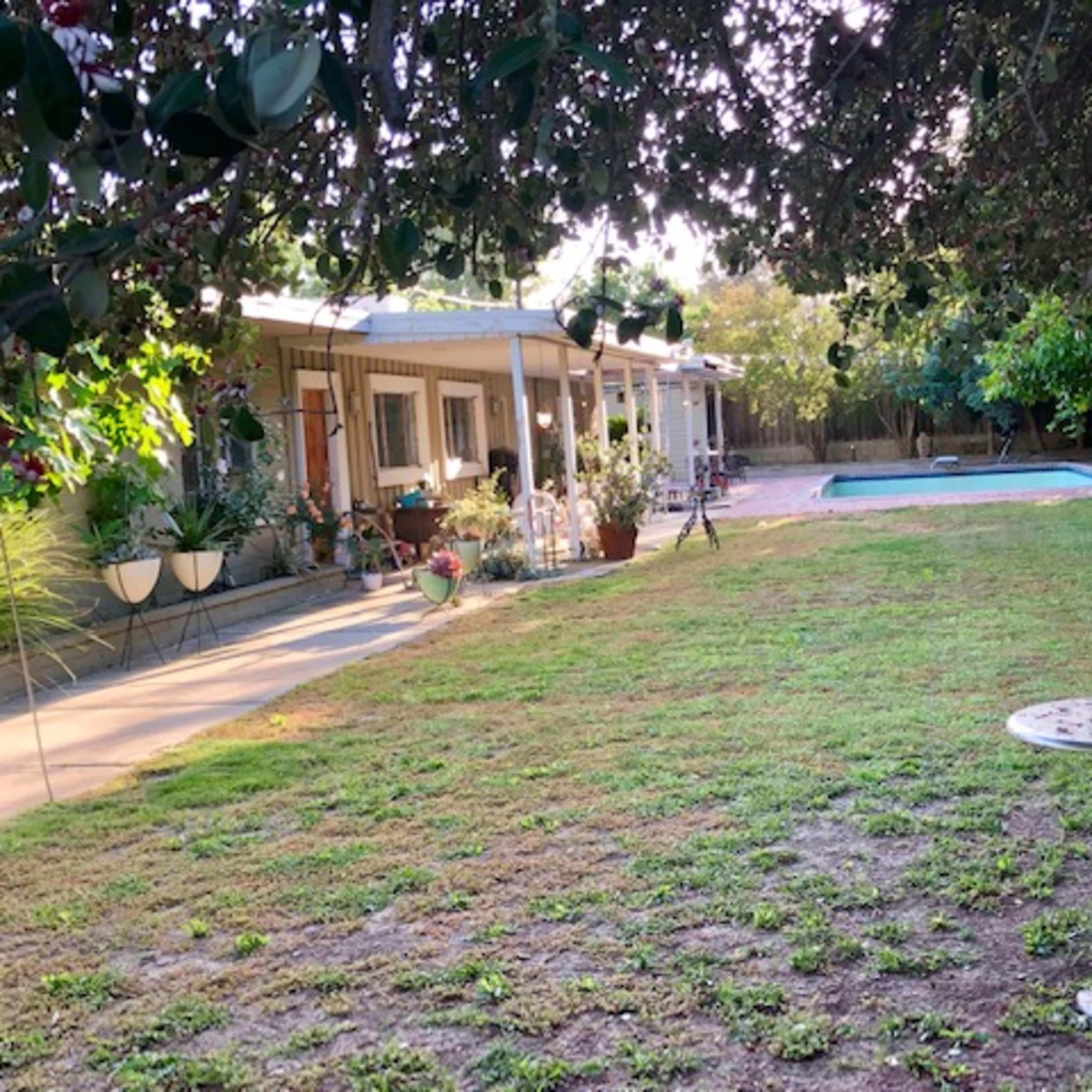 Cool San Fernando Mid Century w/ park like yard Image in Northridge, Los Angeles, CA