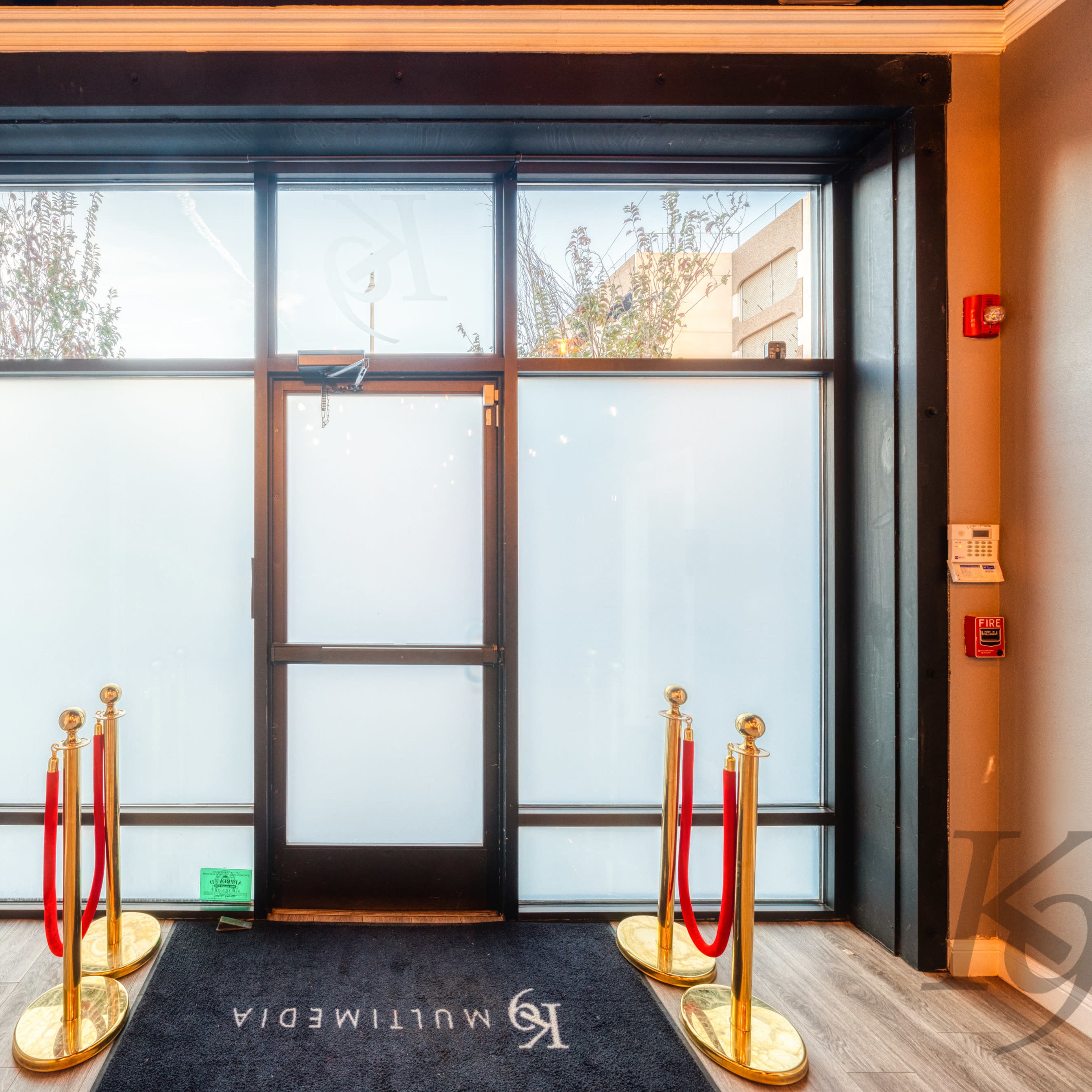 A modern entrance with a glass door and red velvet ropes leading to it, flanked by gold stanchions.