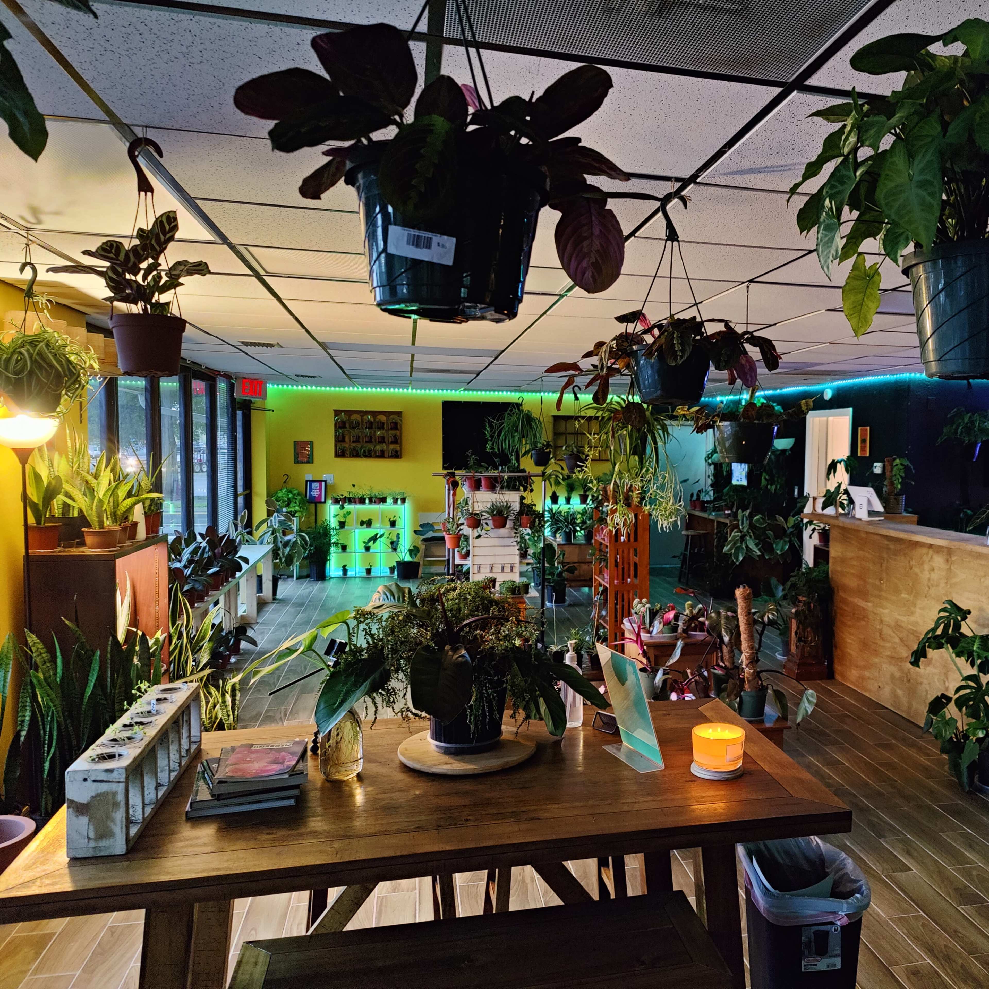 A spacious indoor area filled with various plants, including hanging planters, surrounded by tables and seating arrangements.