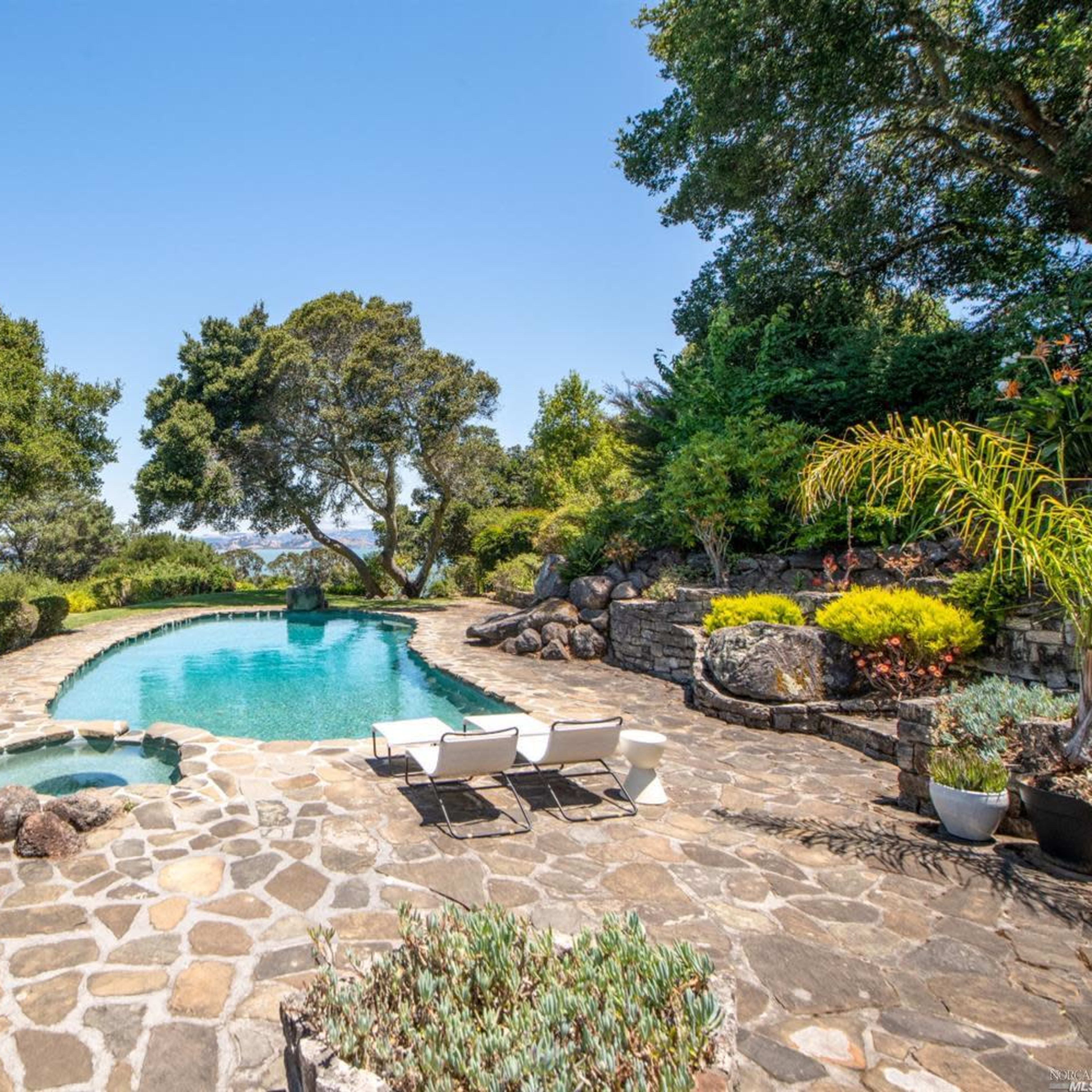 A curved swimming pool with a stone patio is surrounded by greenery and trees in a landscaped outdoor area.