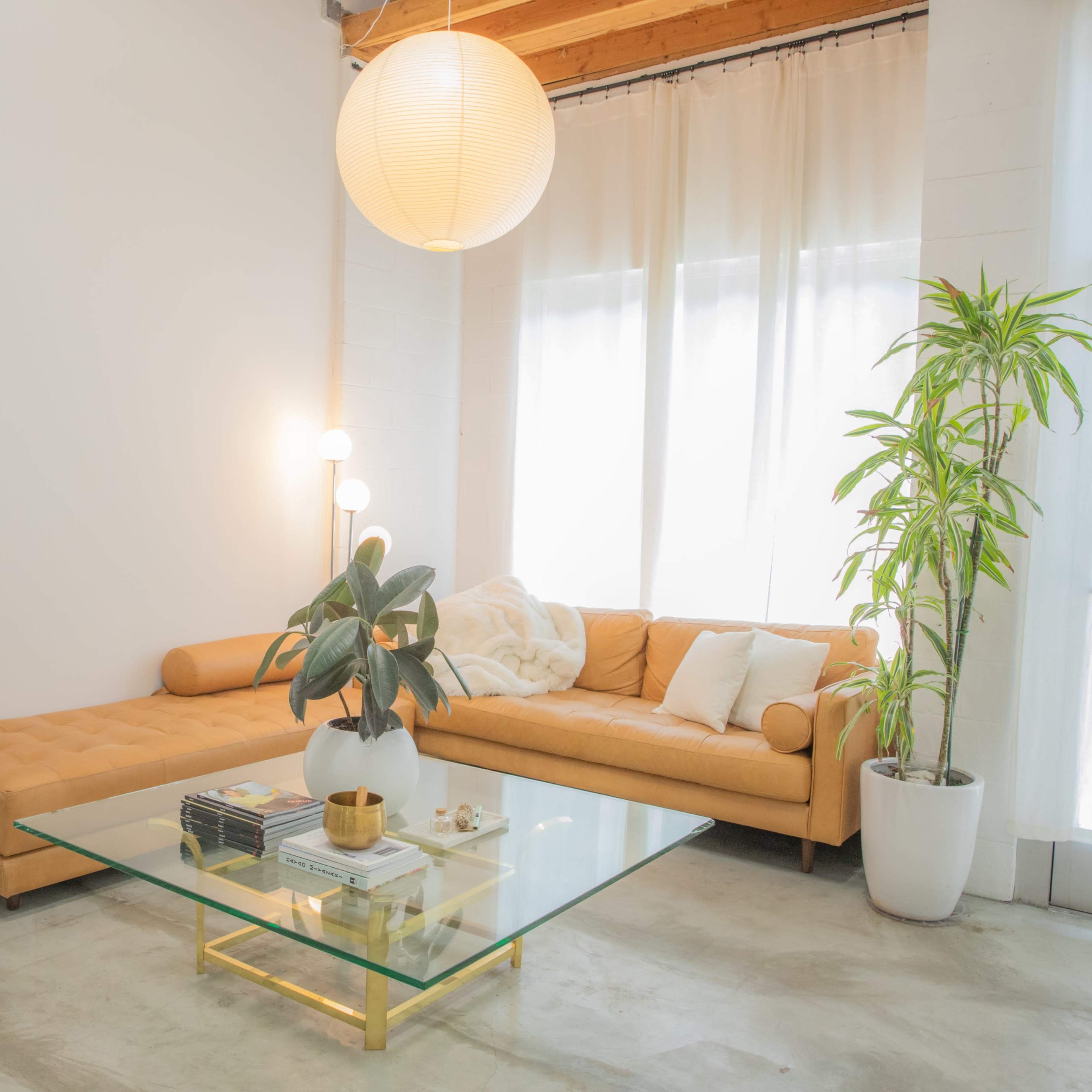 A modern living room features a yellow sectional sofa, a glass coffee table, and tall indoor plants beside large windows with sheer curtains.