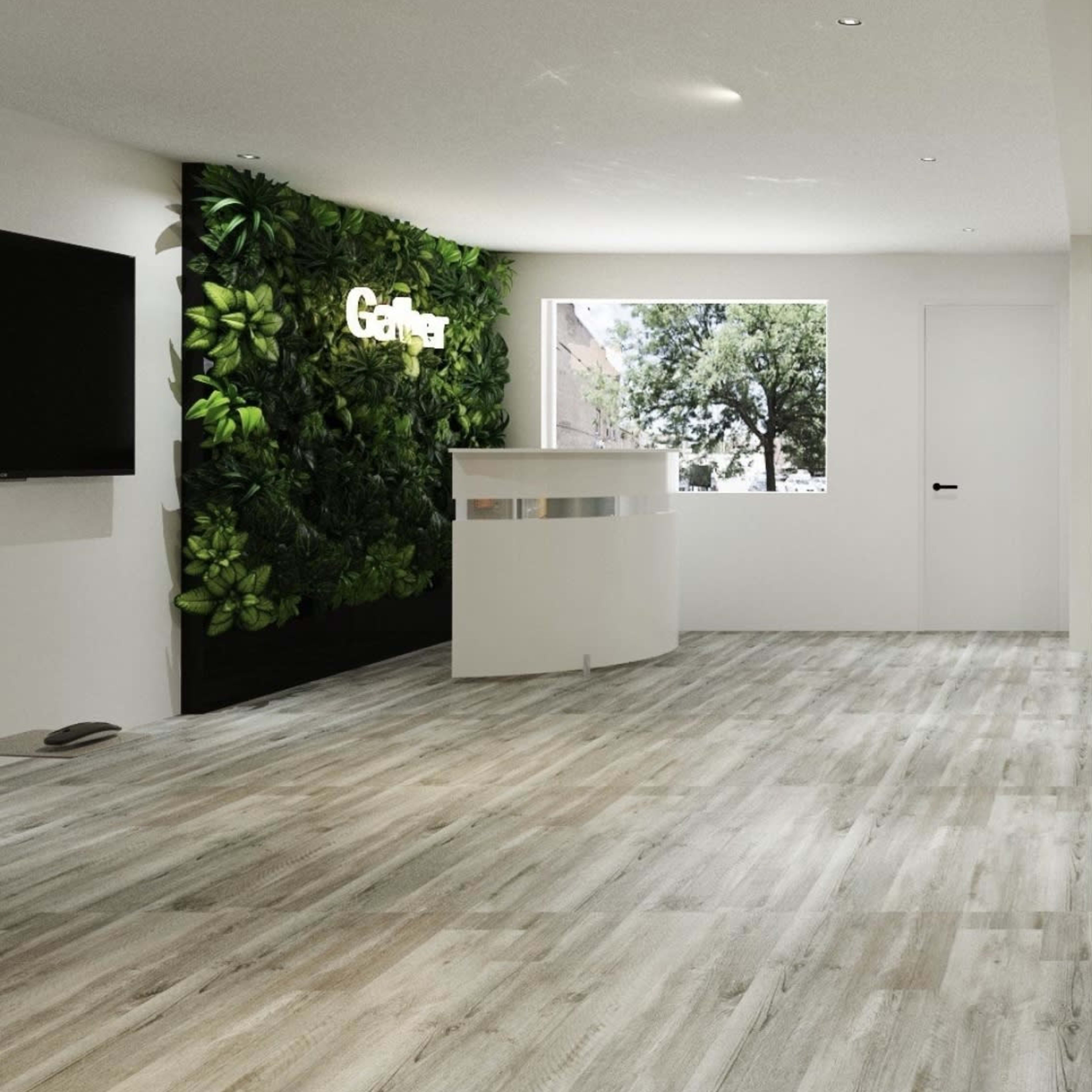A modern reception area with a greenery wall, a white desk, and a television mounted on one side.
