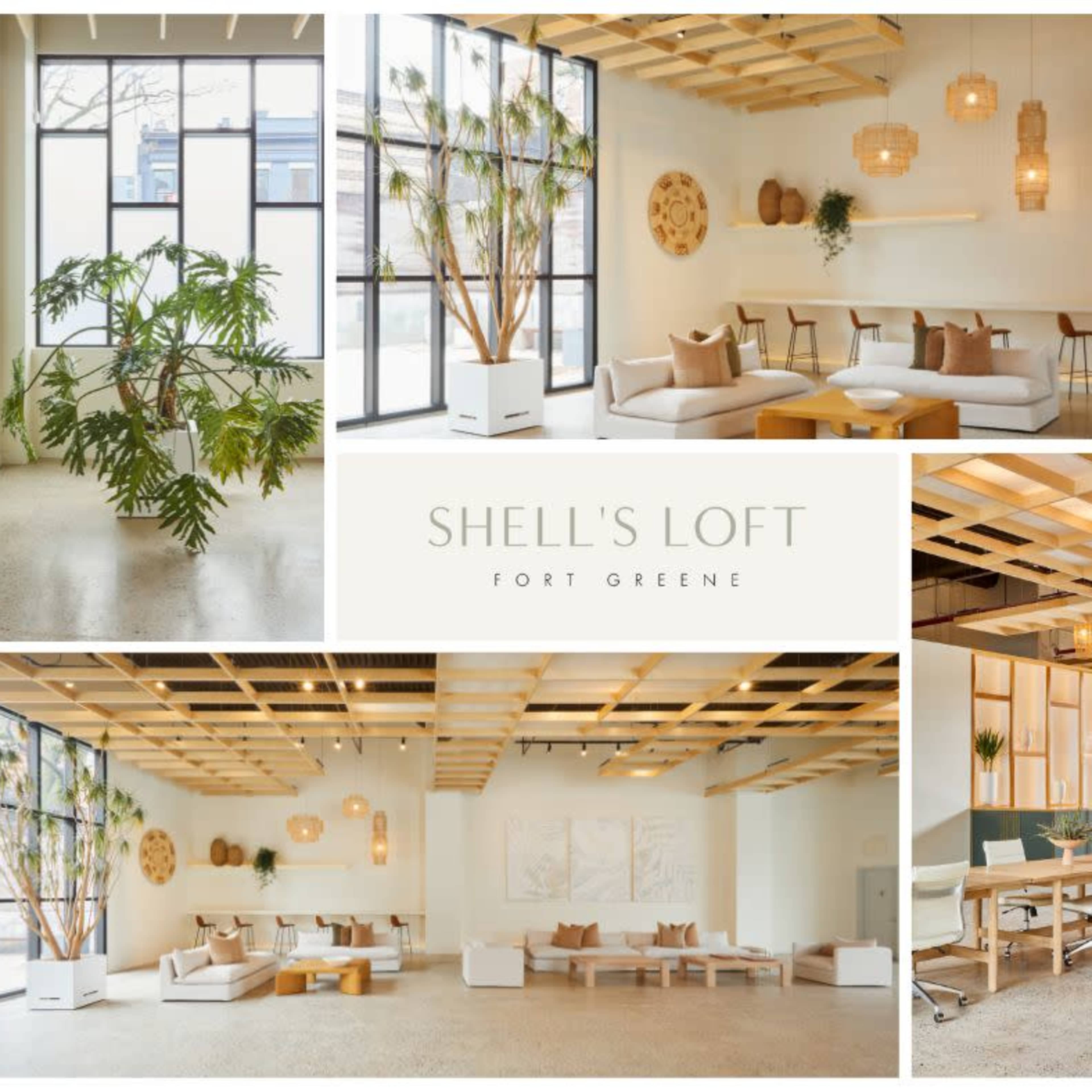 Shell's Loft Image in Fort Greene, Brooklyn, NY