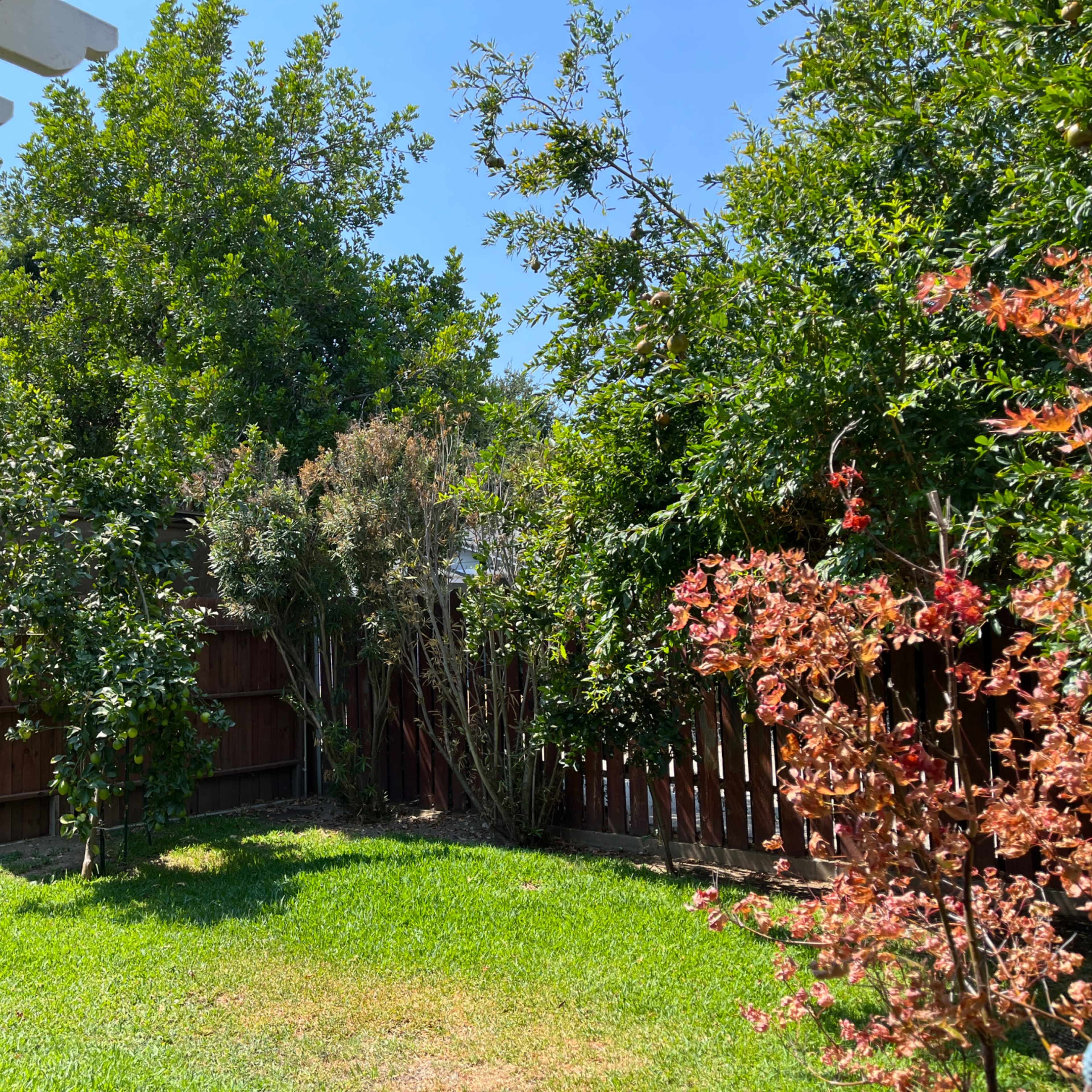Green Oasis in Lake Balboa! Image in Van Nuys, Los Angeles, CA