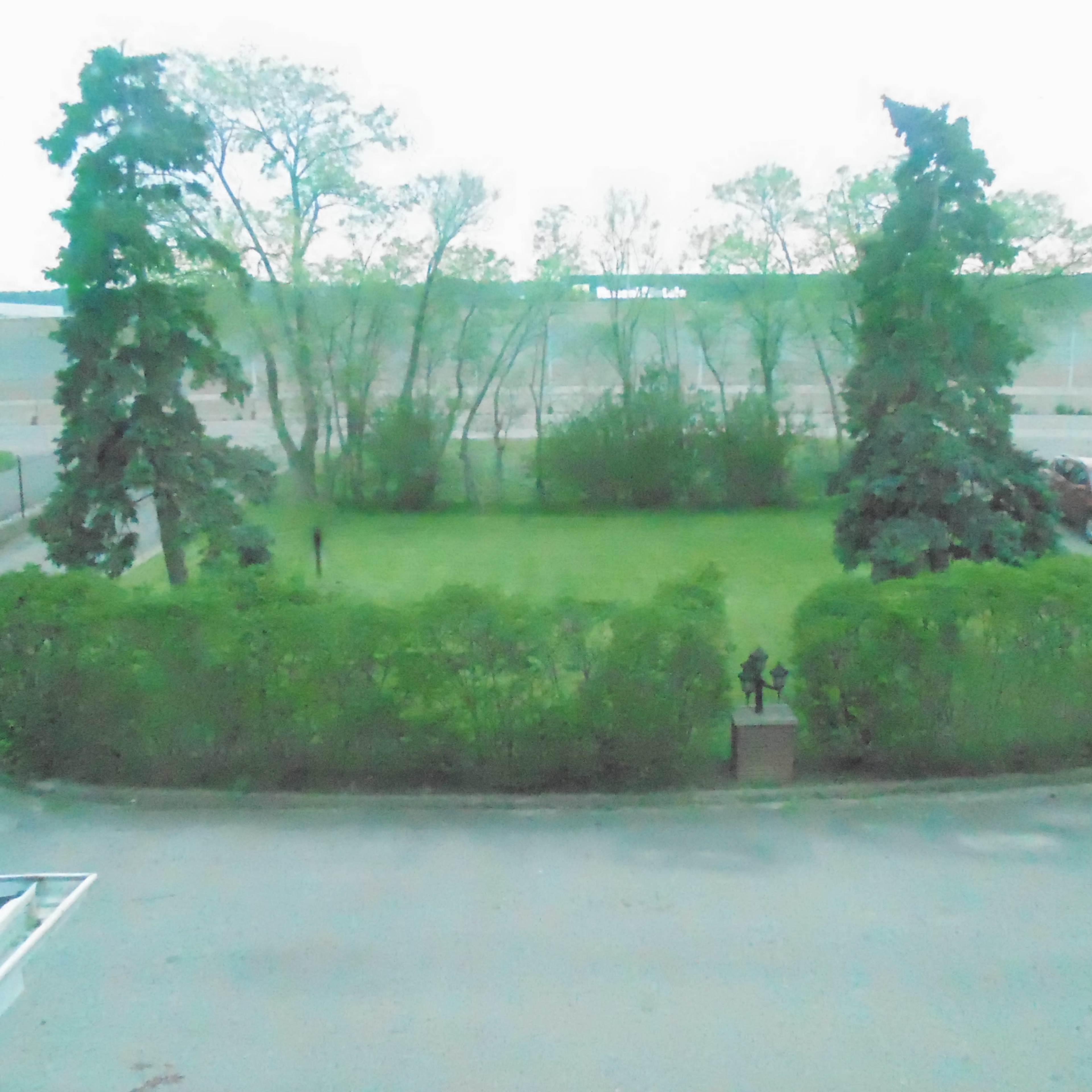 A grassy area surrounded by a low hedge, with trees on either side and a few parked cars in the background.