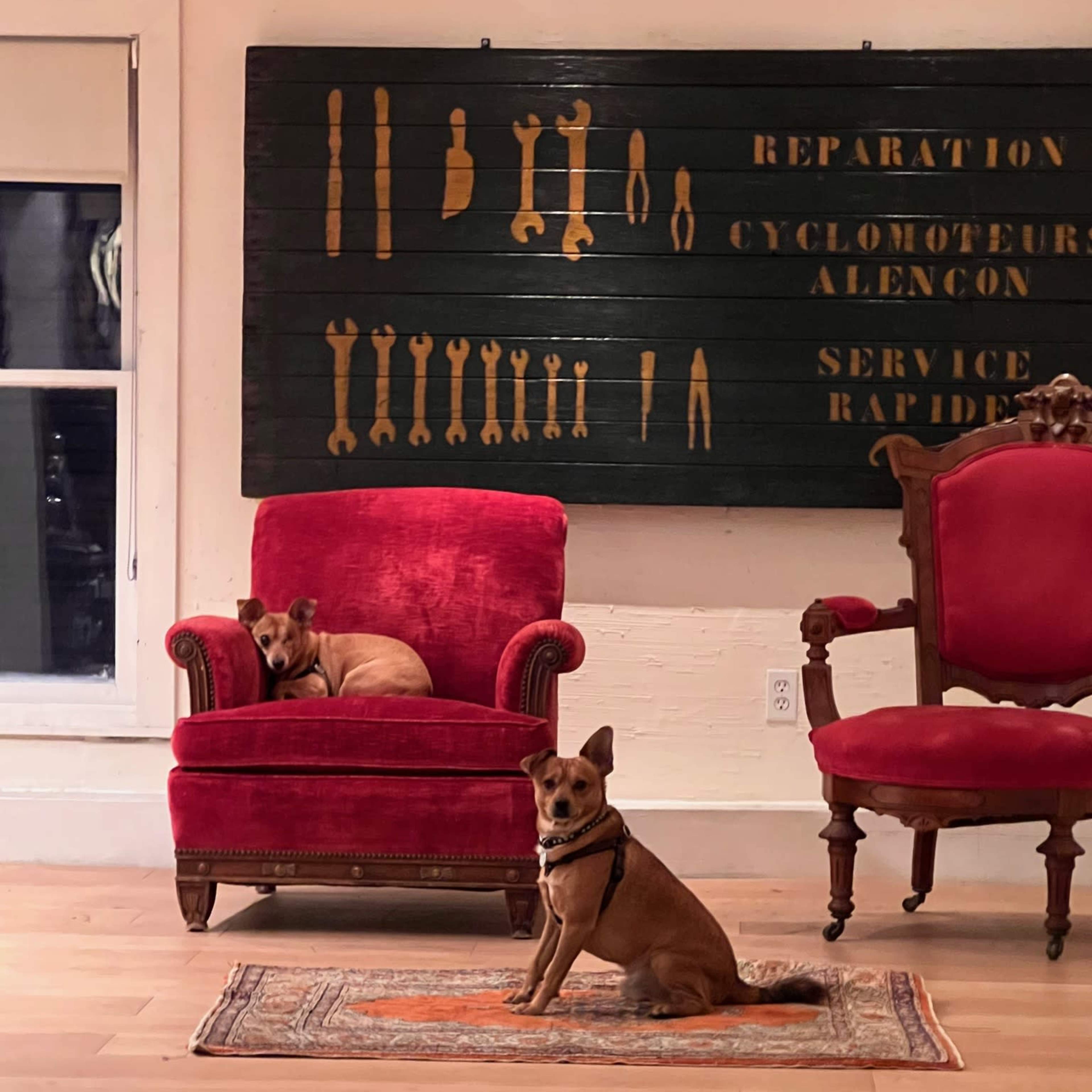 Two dogs sit on a rug in a room adorned with a large sign featuring tools and repair services, with one dog on a red chair in the background.